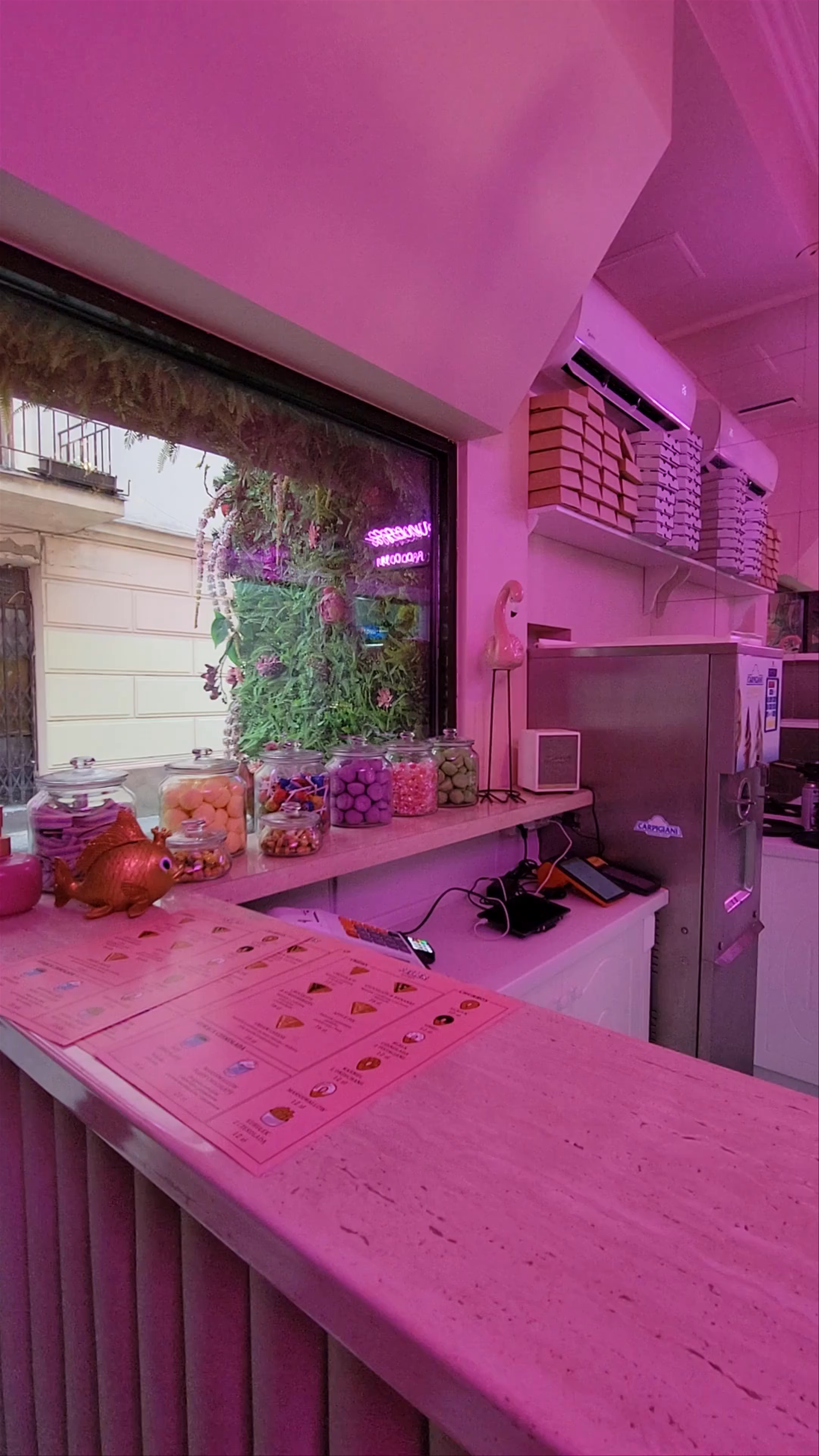 Pelier Sweets: A Vibrant Sweet Escape in Lublin