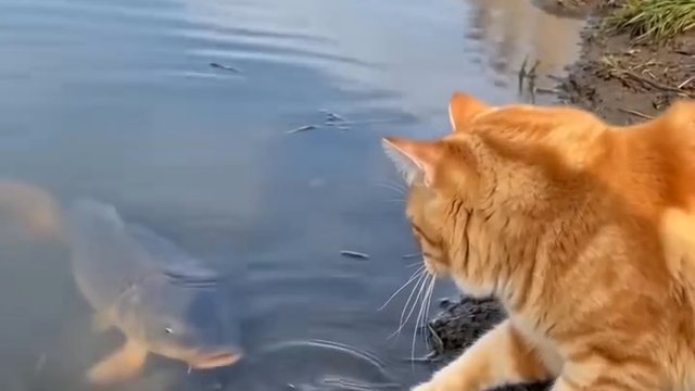 compilation compilation 🎬
