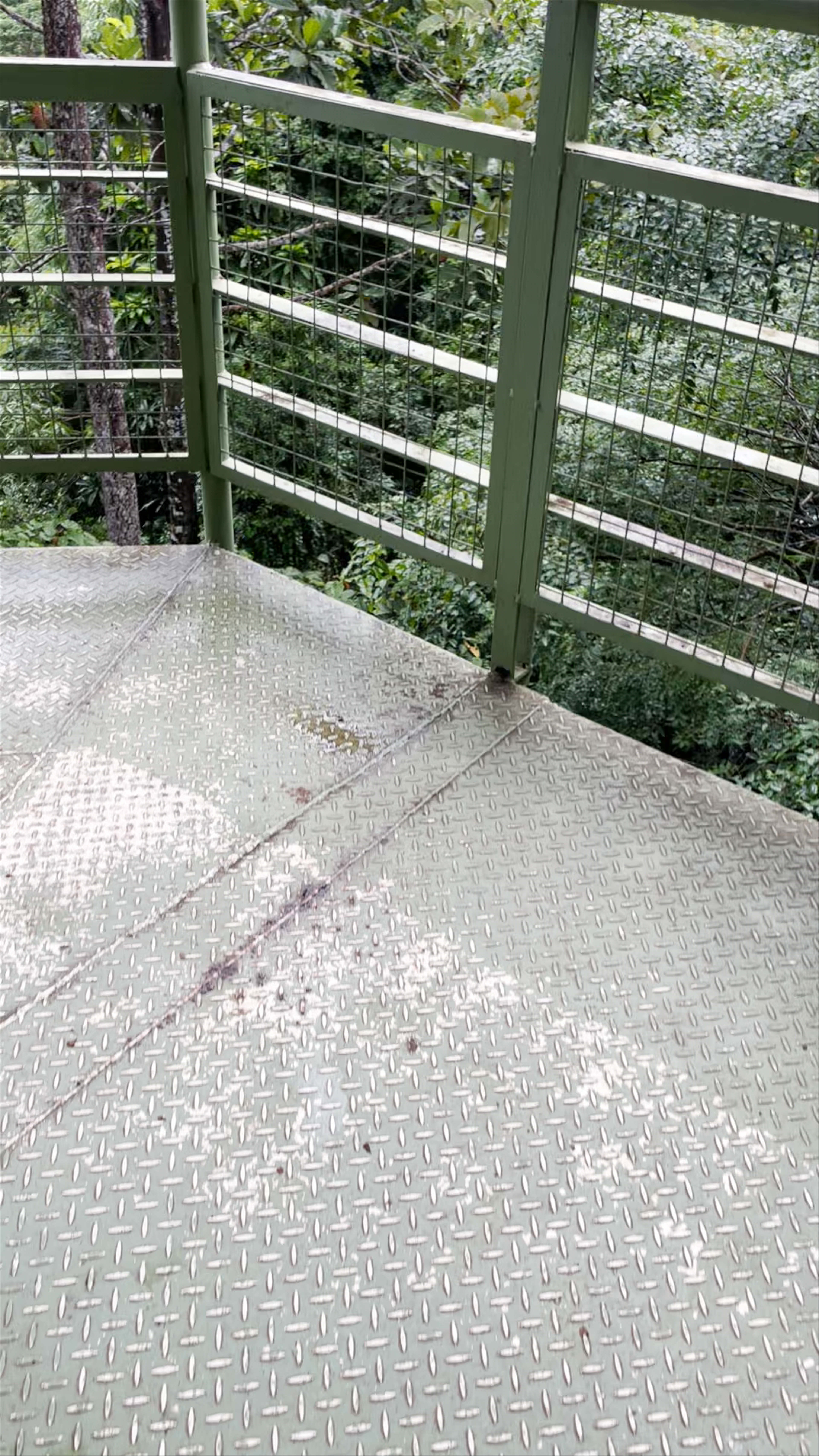 Sepilok Orang Utan Sanctuary