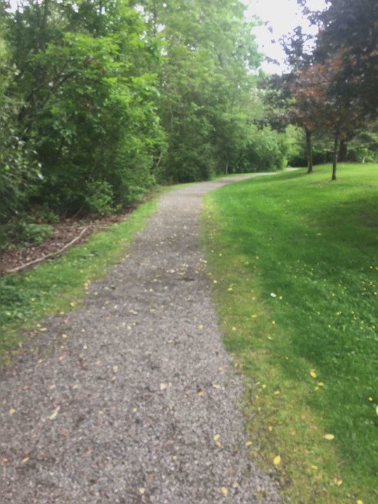 Grass Lawn Park - Walkway - Parks Near Me - Redmond, Washington