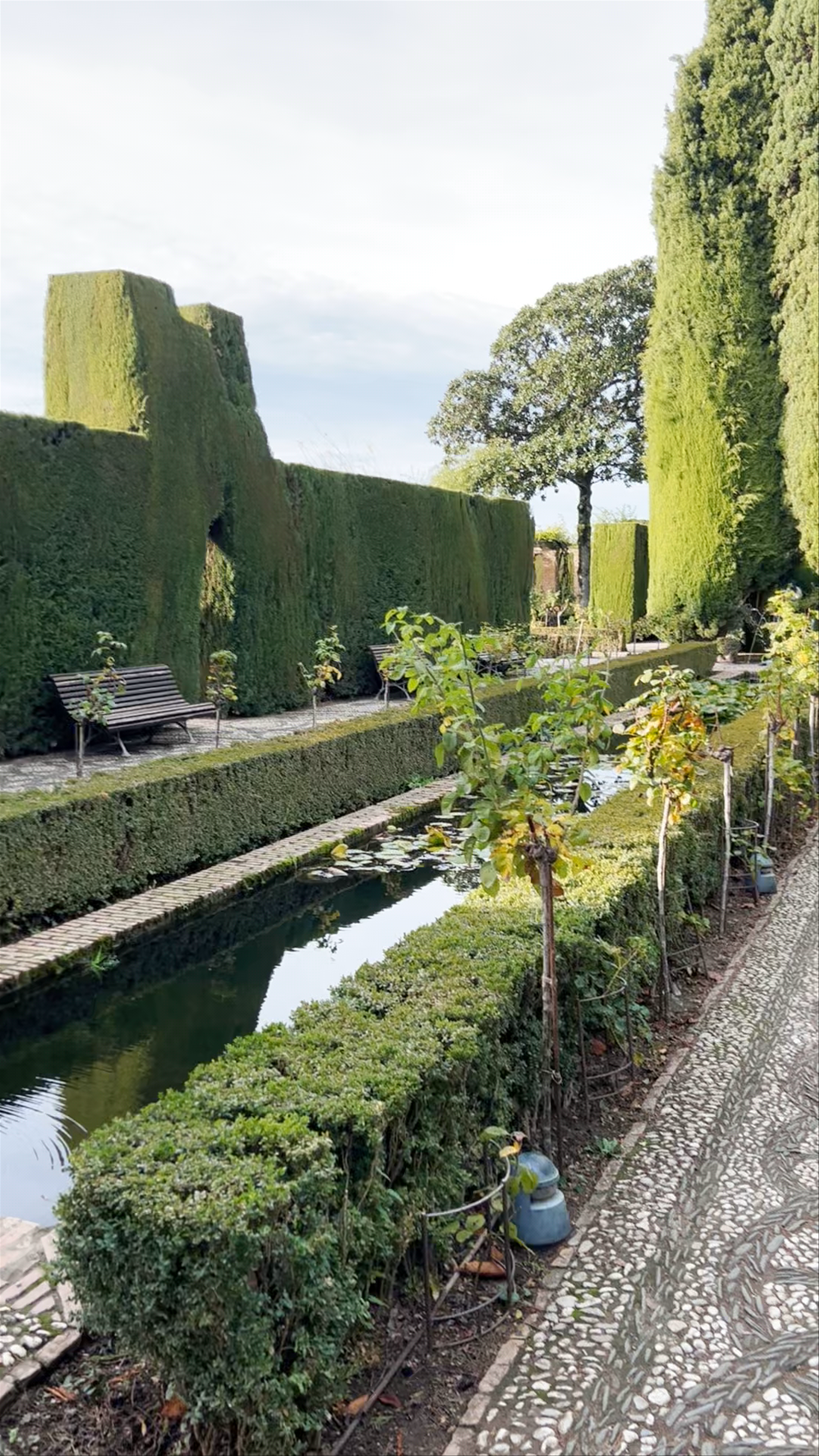 Jardin du Généralife