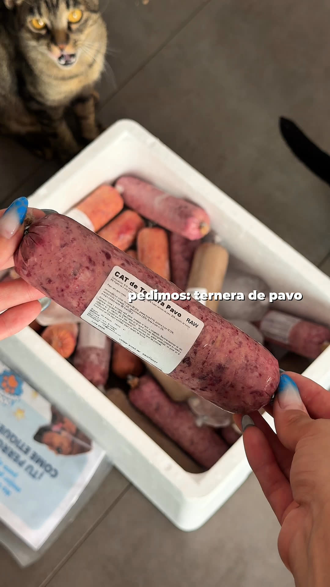 Vídeo UGC 4 de Magali
