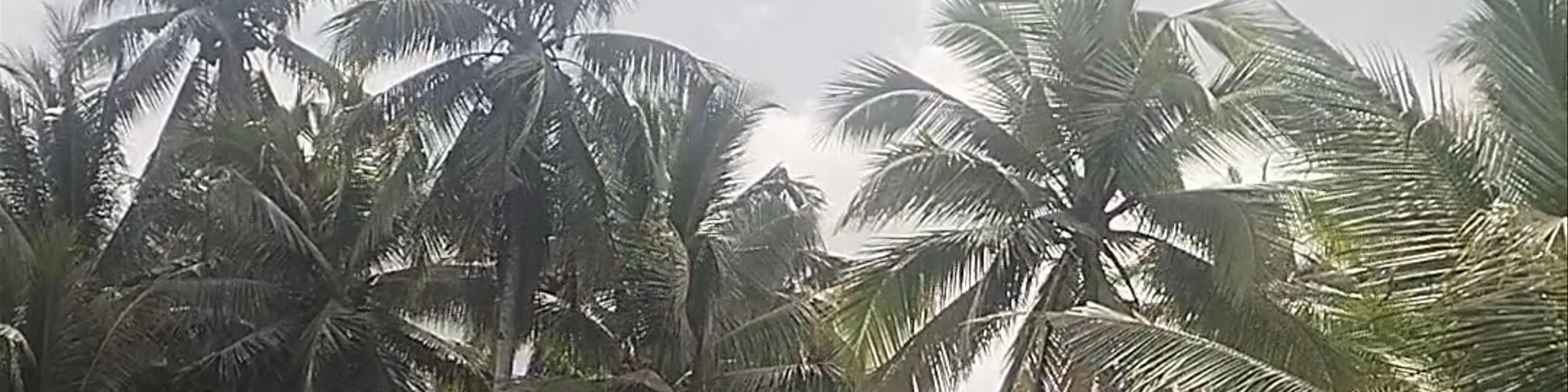 Philippines