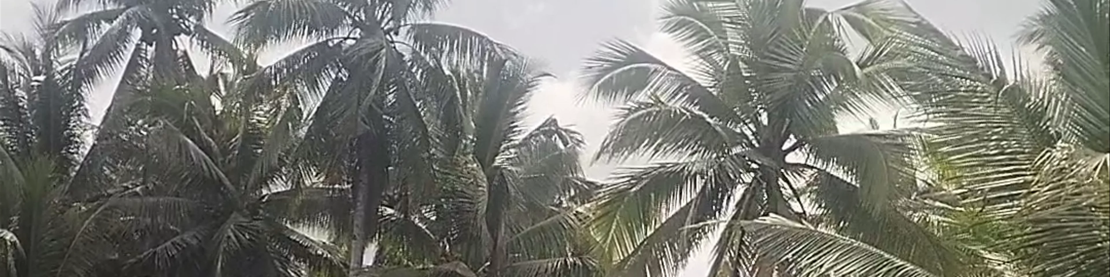 Litik Maasin River- Siargao