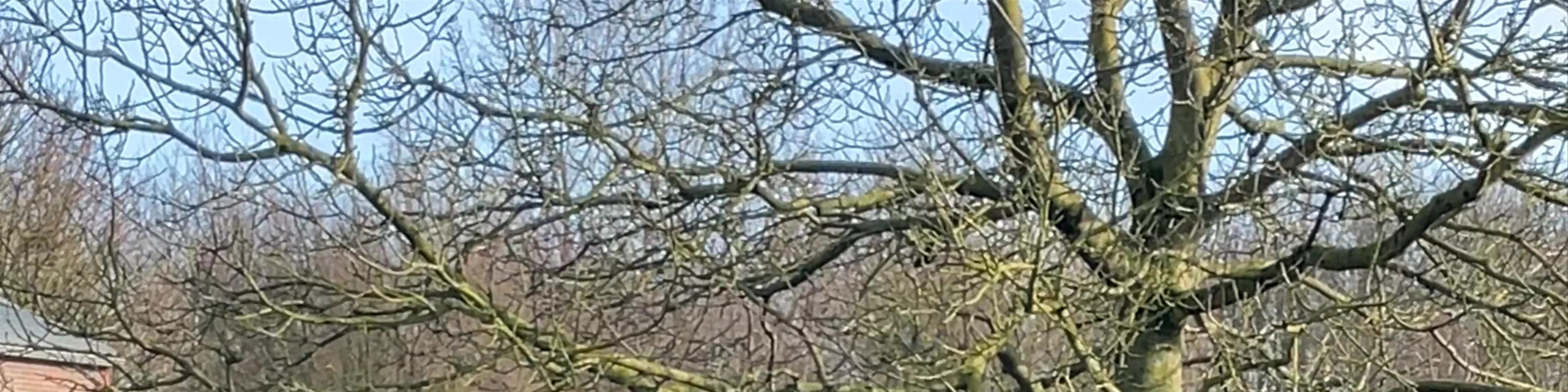 Máximapark