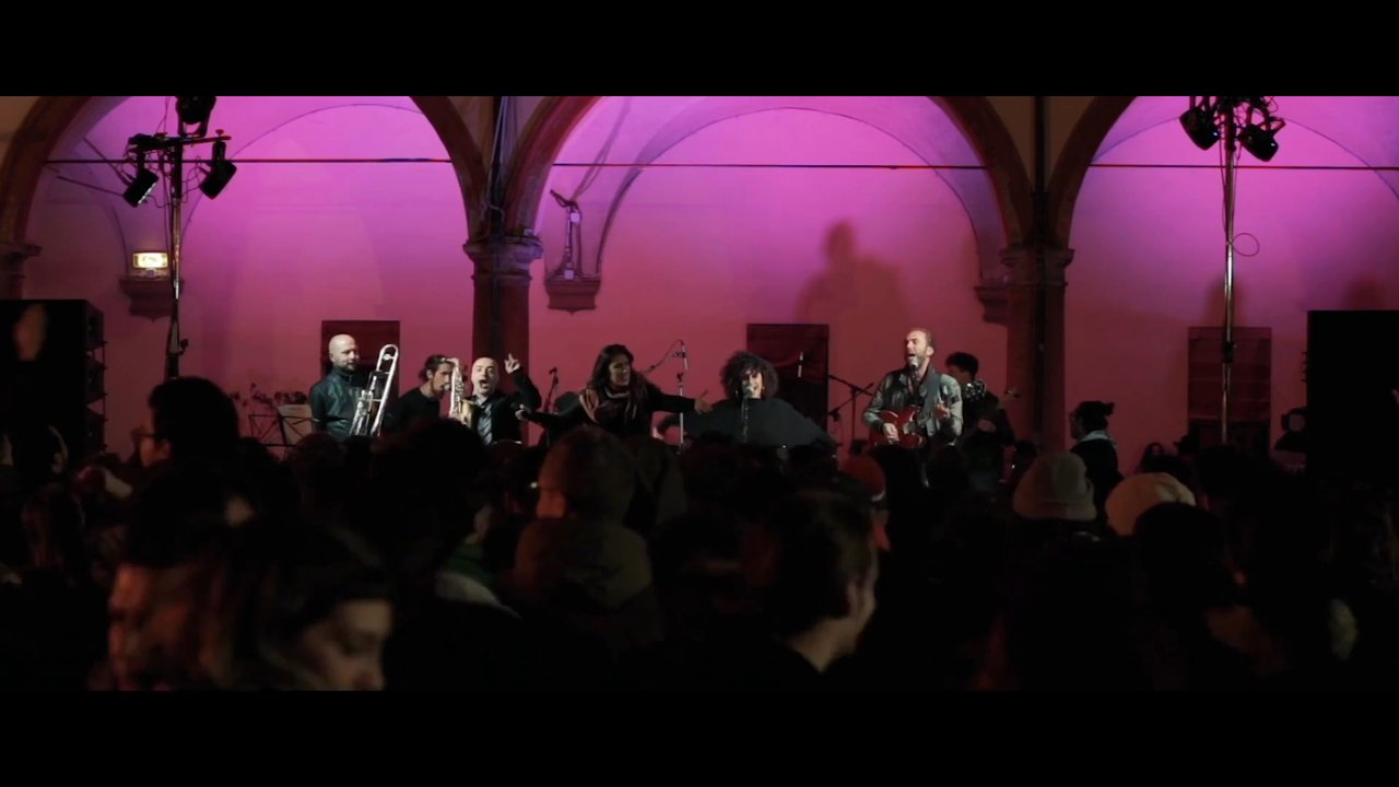 The Curious Groove Band - Live Showreel 2025 - video