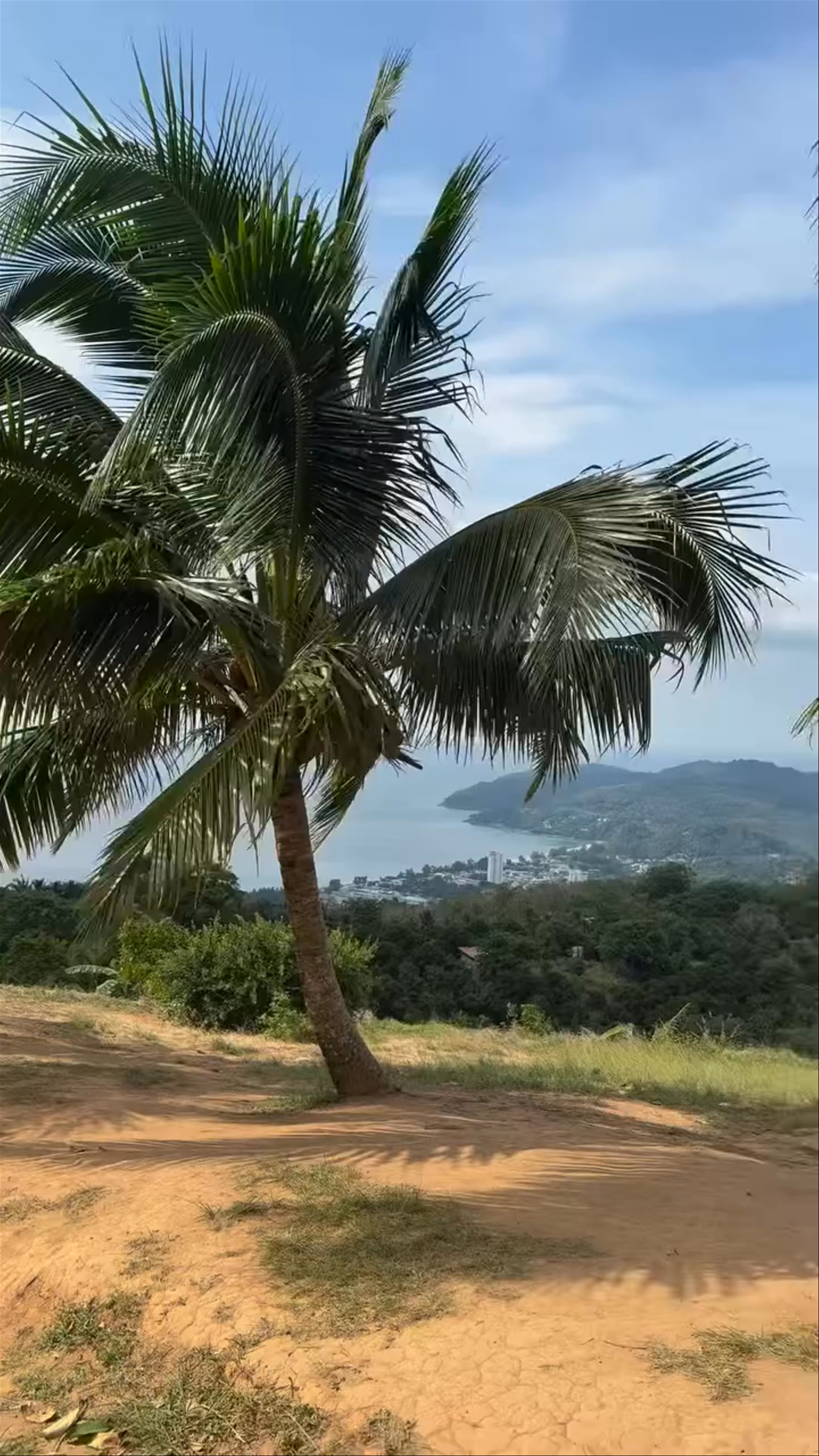 Big Buddha