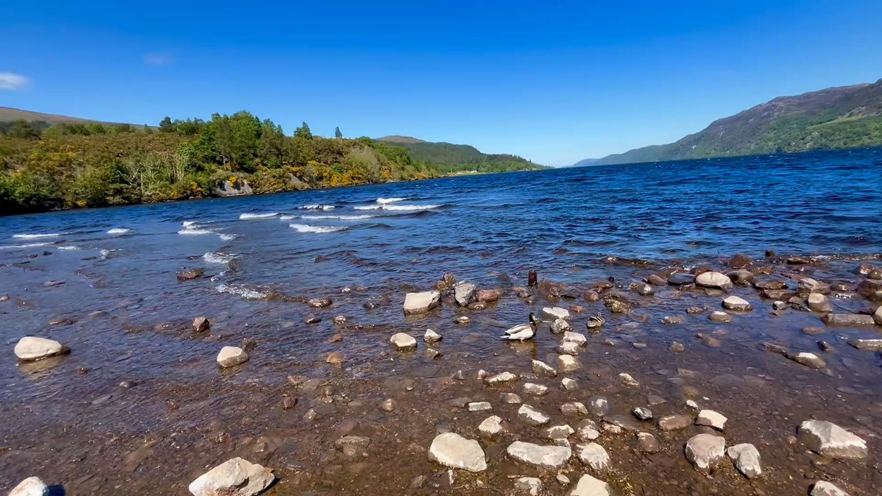 Loch Ness - Local Flavor Near Me