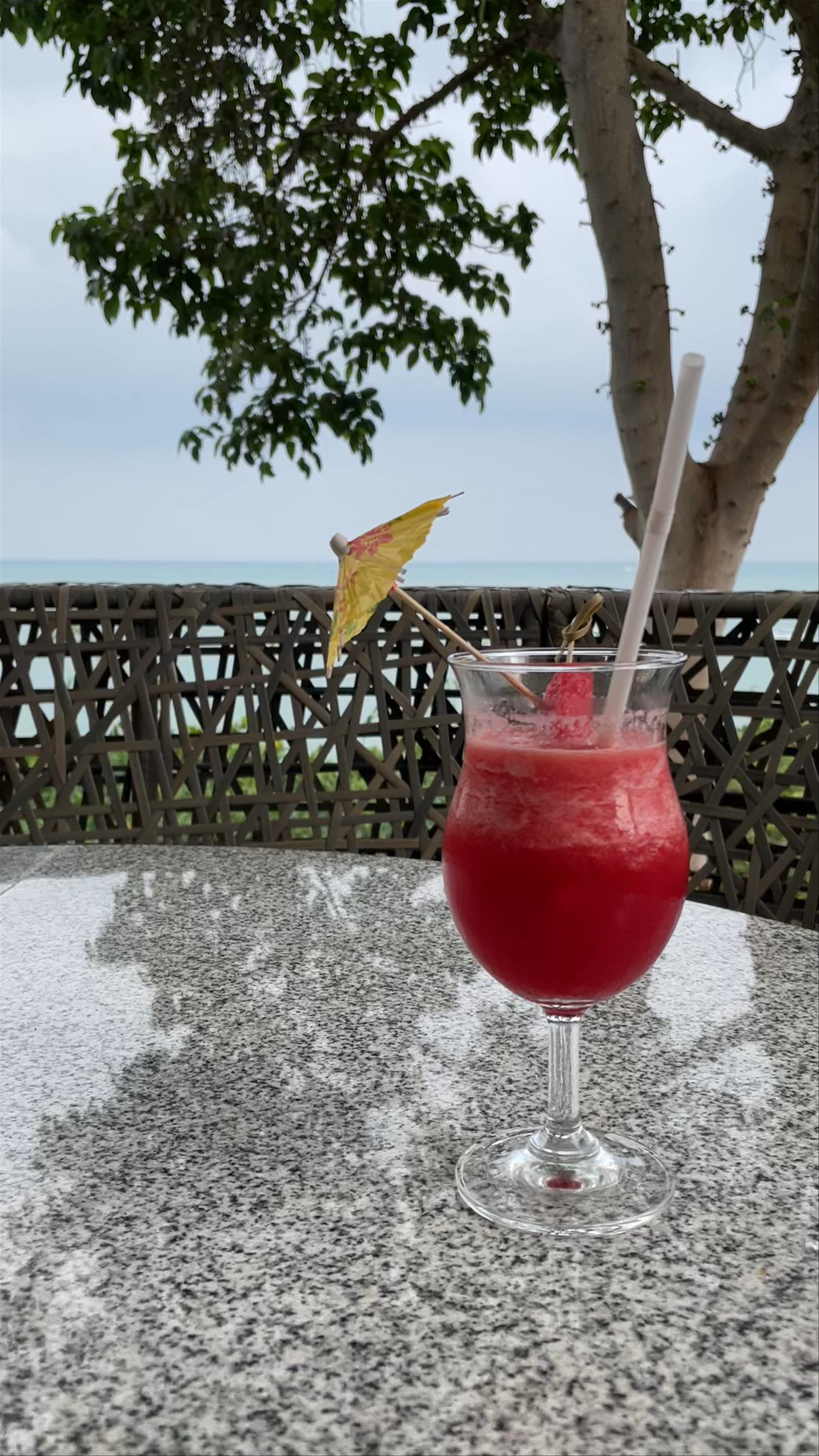 The Lunar Beach House