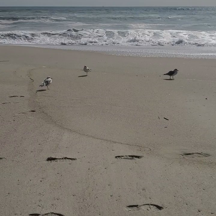 Point Pleasant Beach - Beaches Near Me