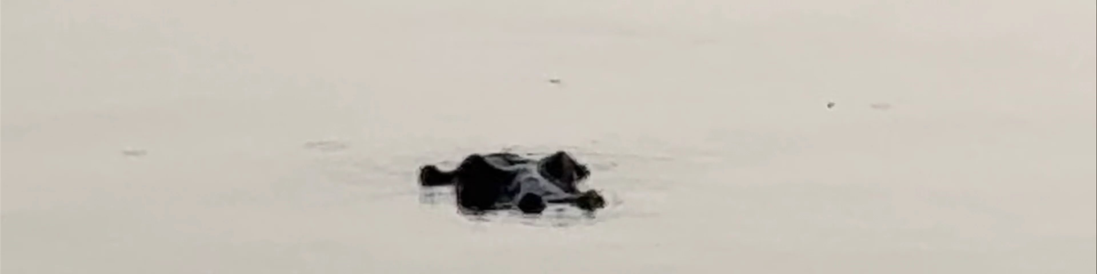 Lake Mburo National Park