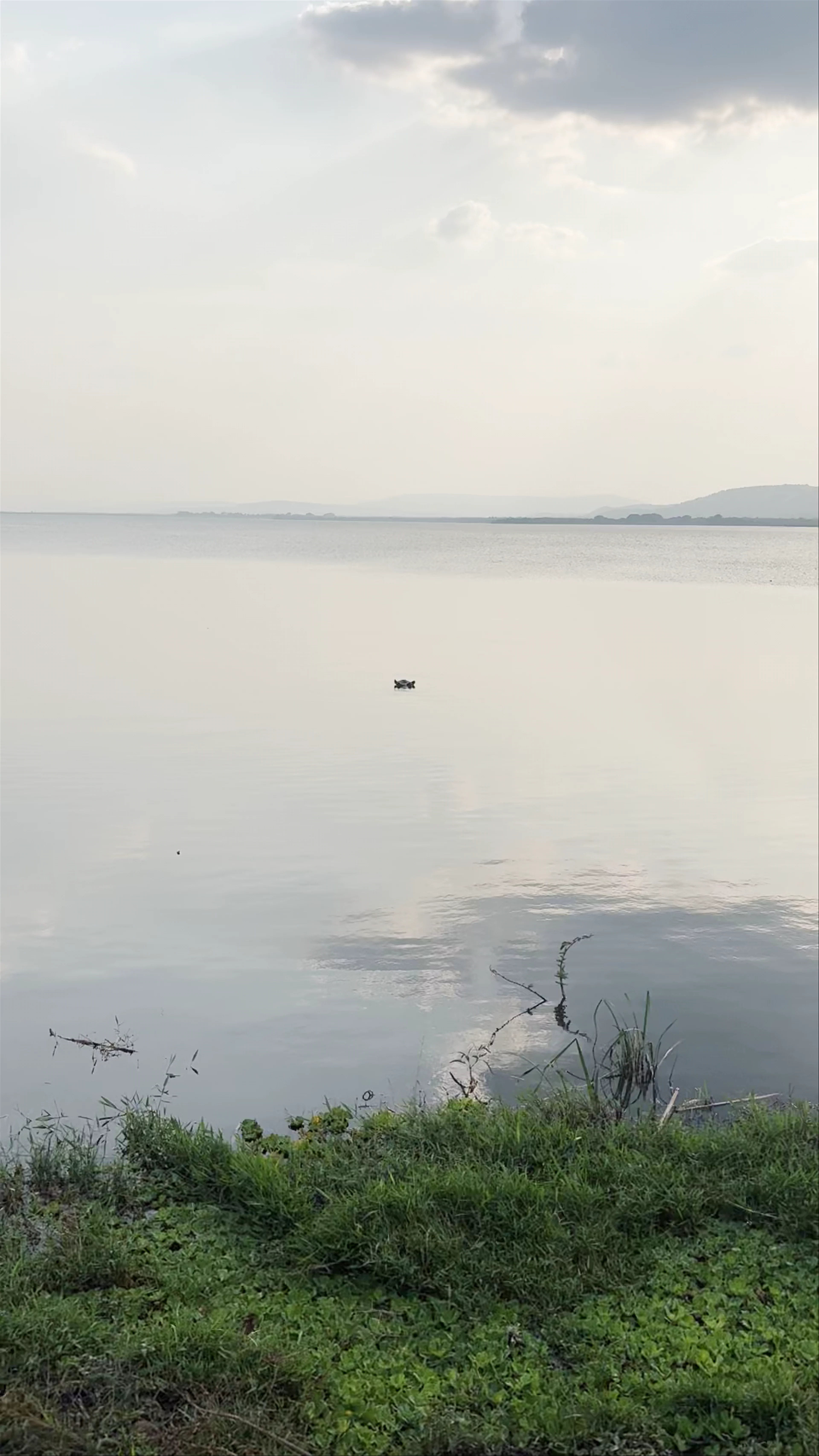 Lake Mburo