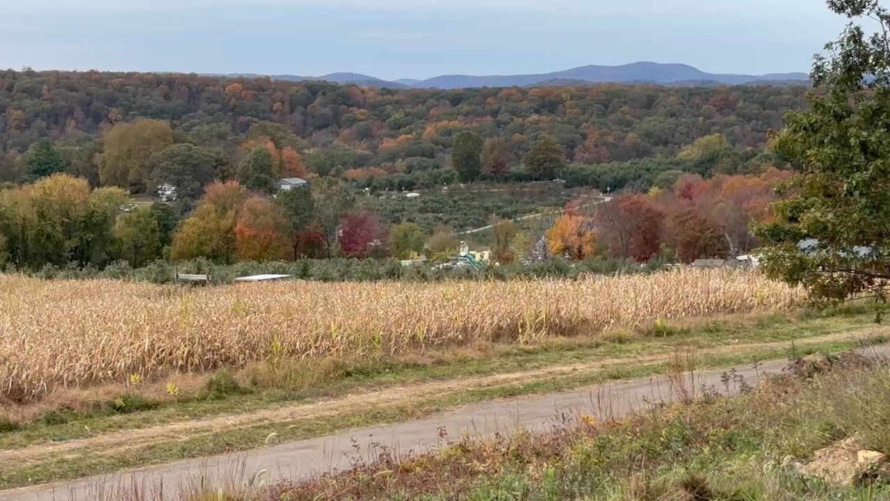 Outhouse Orchards - Fruits & Veggies Near Me - North Salem, New York