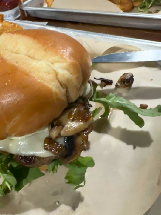 Lone Wolf Brewing - Provolone mushroom burger with garlic fries - Breweries Near Me - Yorba Linda, California