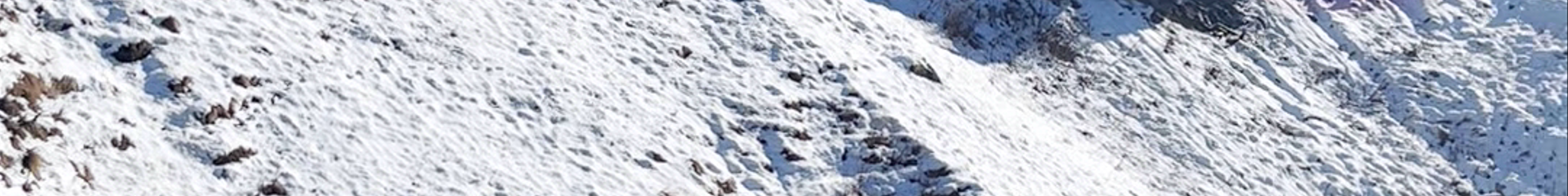 Tours & experiences in Gudauri