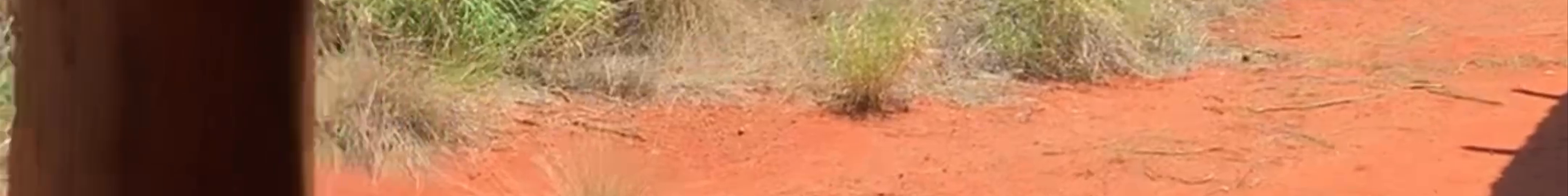 Tours & experiences in Yulara