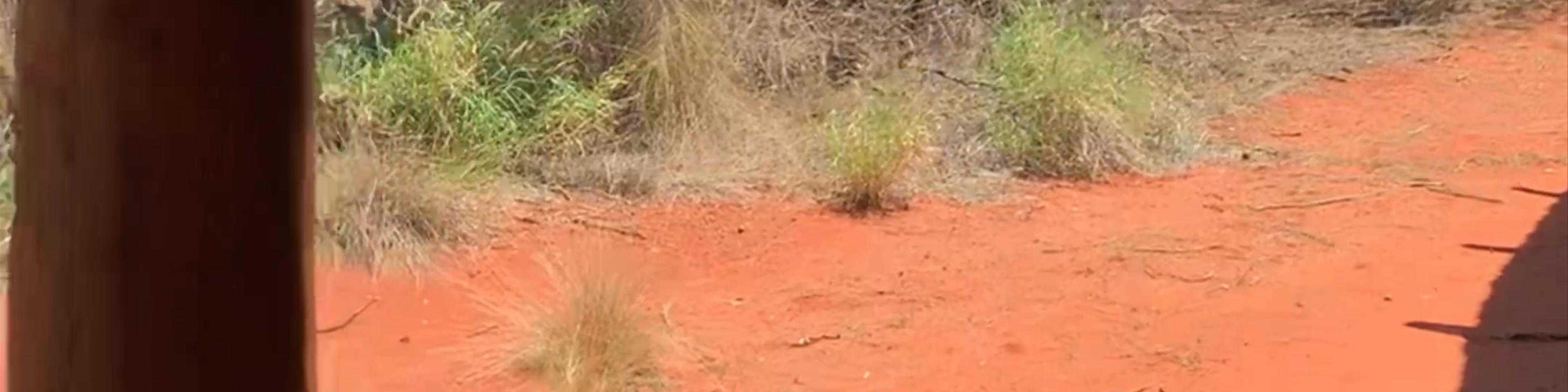 Yulara