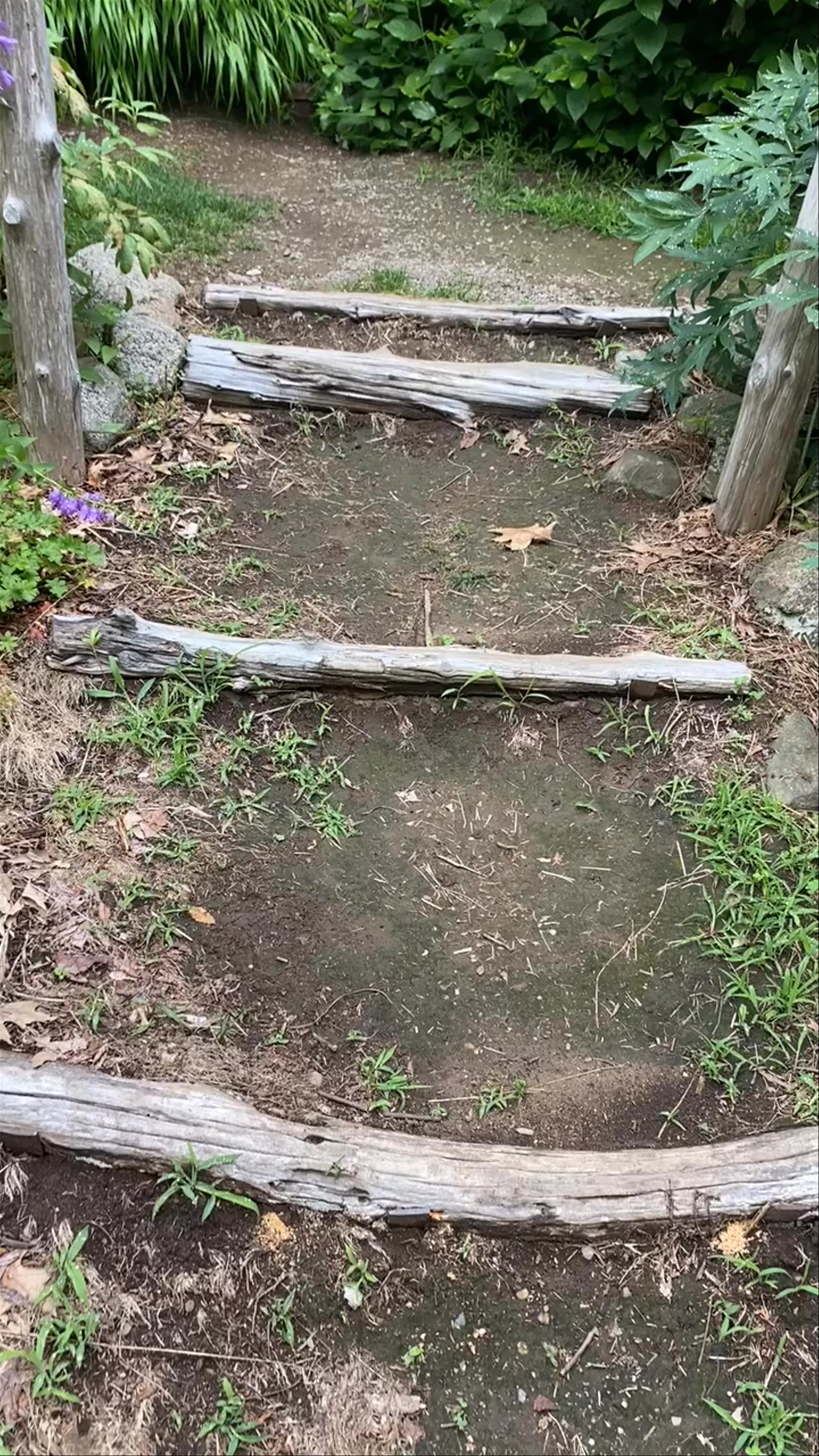 Long Hill Reservation
