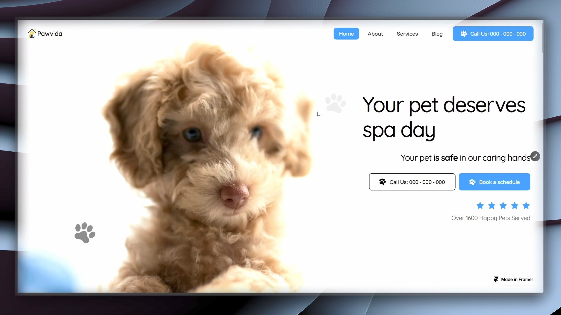 Best for your Pets