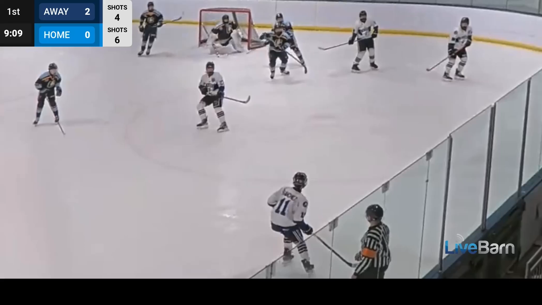 Bladen Radja's Short Side Snipe - Chicago Blues 15U AA Highlights