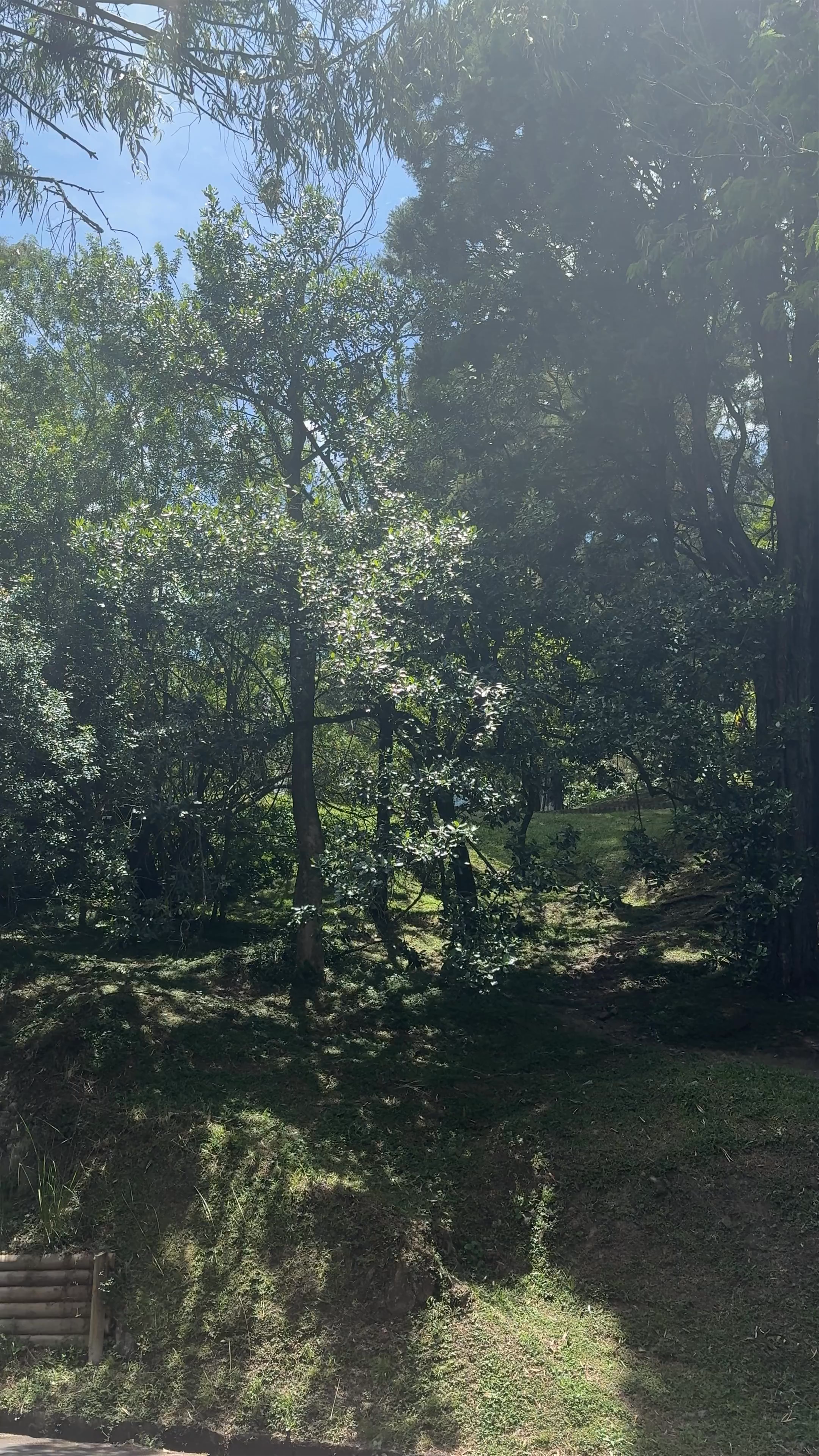 Cerro de Nutibara Sculpture Park