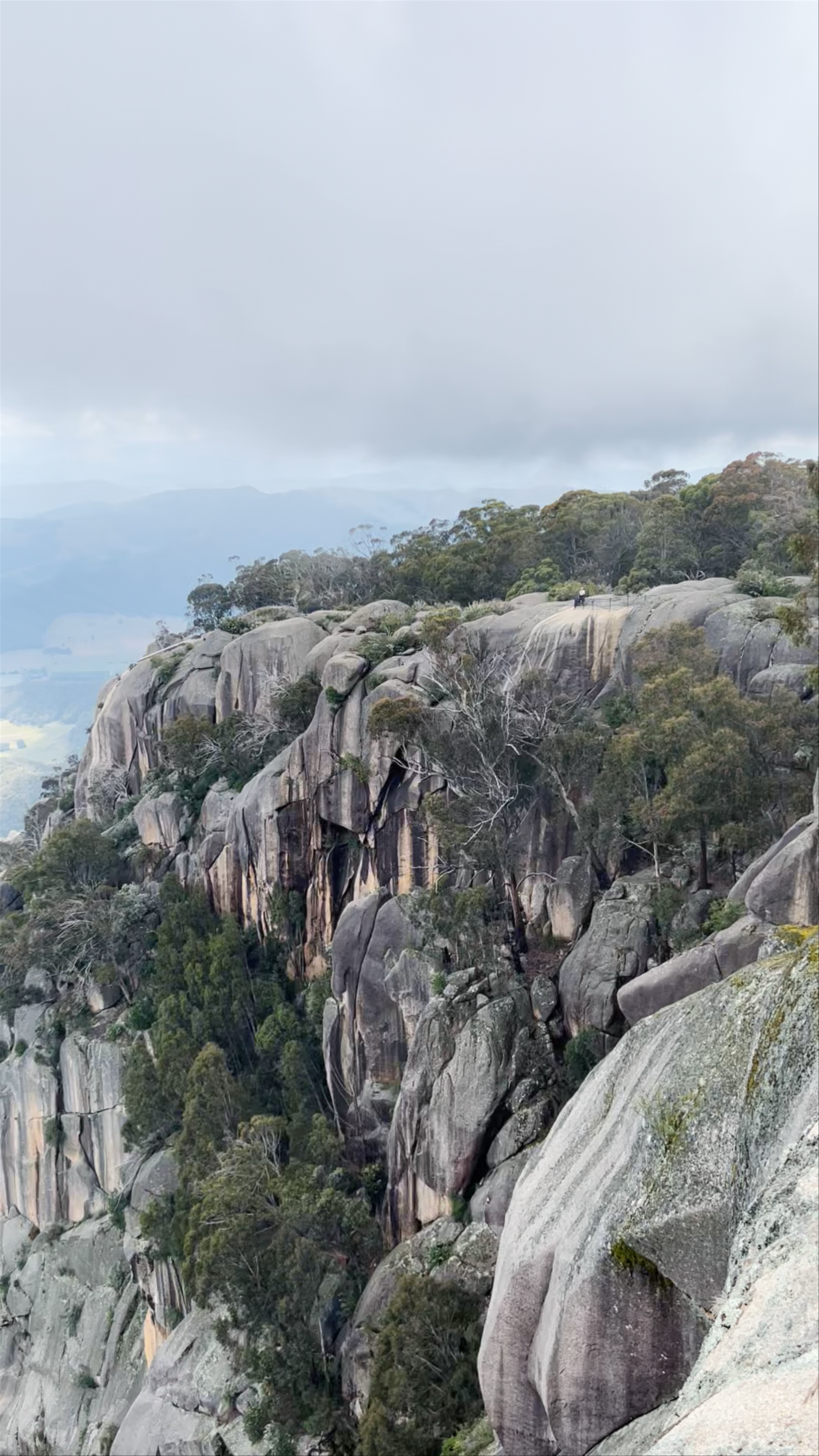 Mount Buffalo Lookout