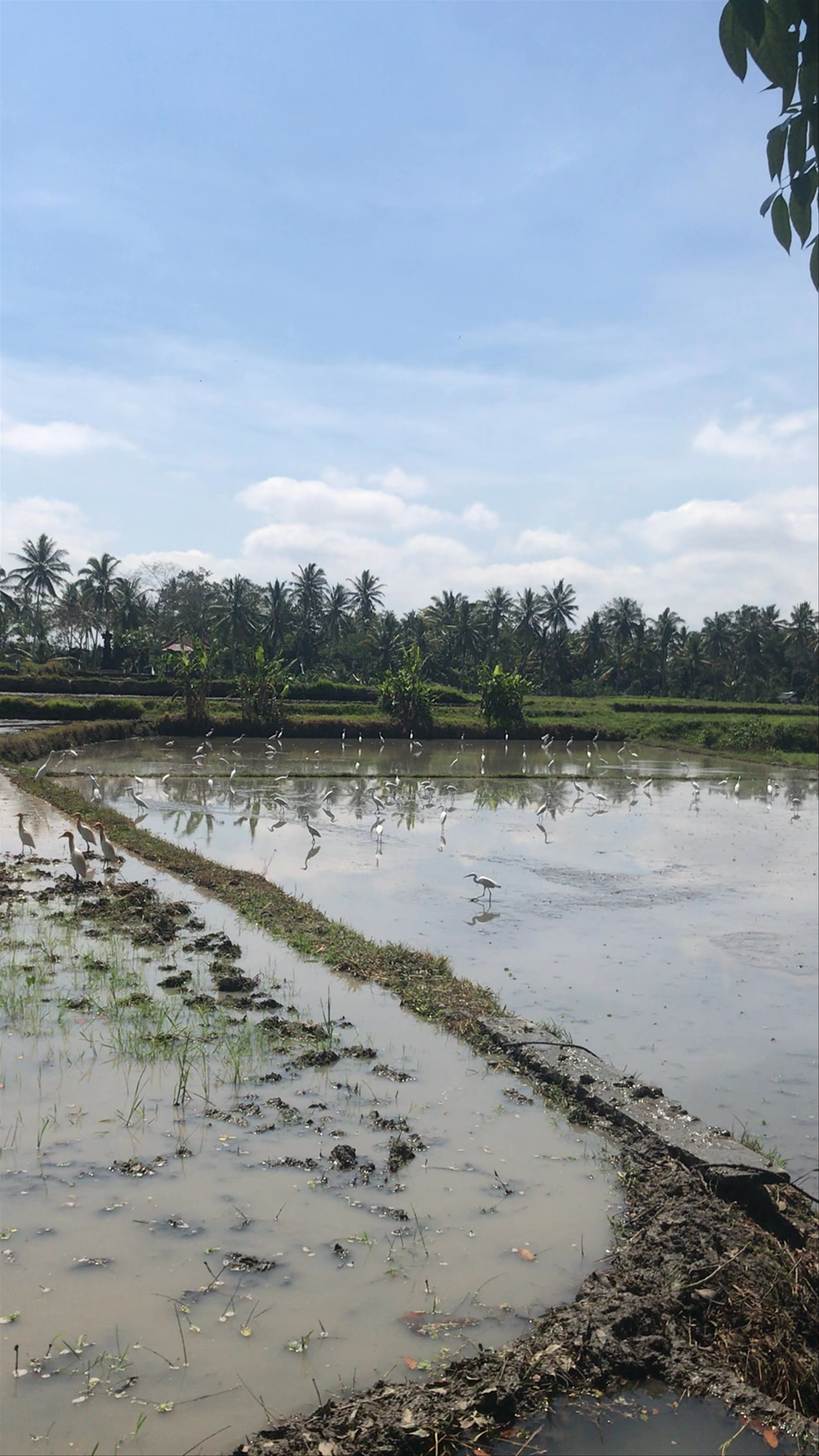 Kapal