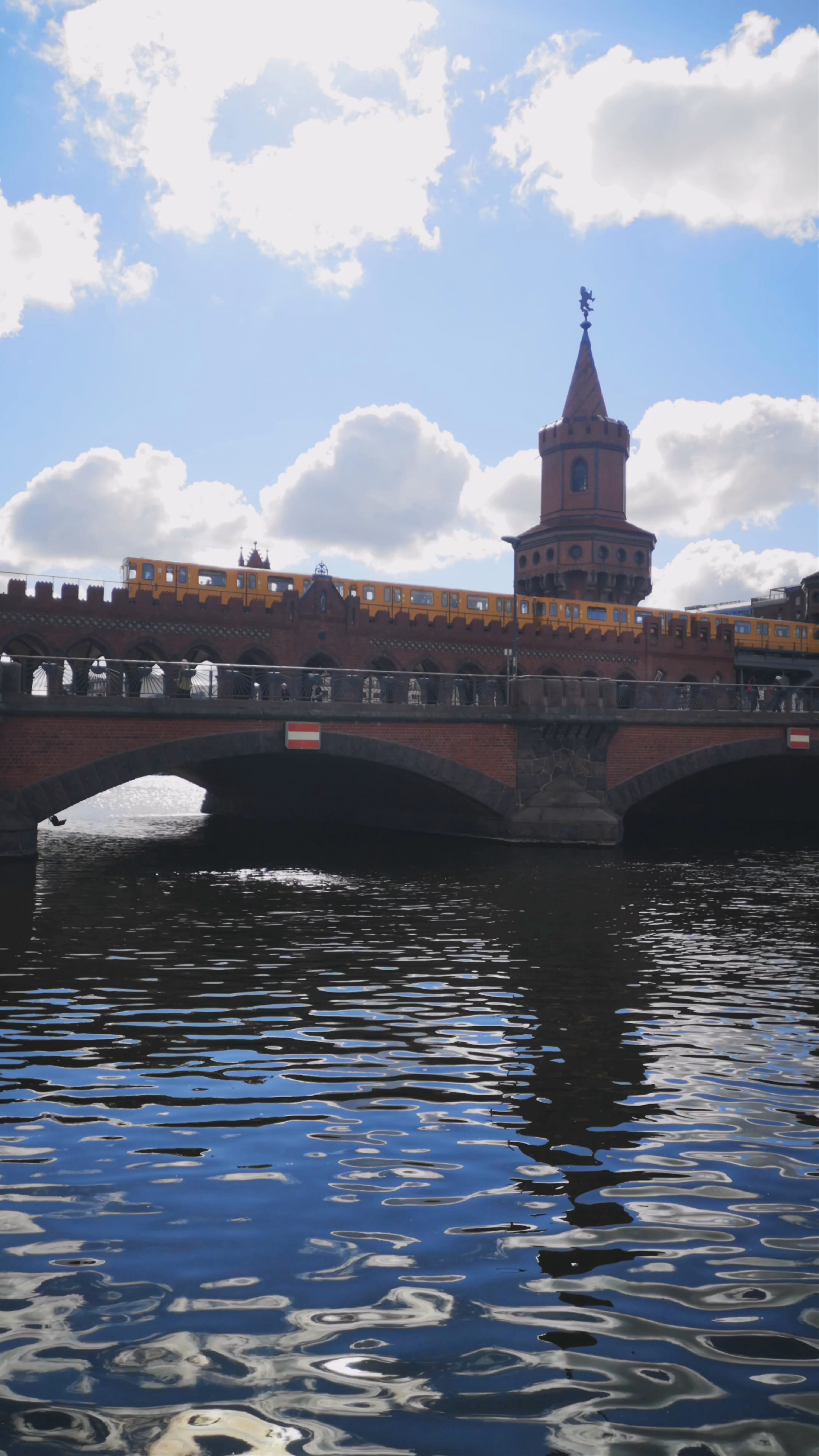 Zierkirschen am Oberbaum