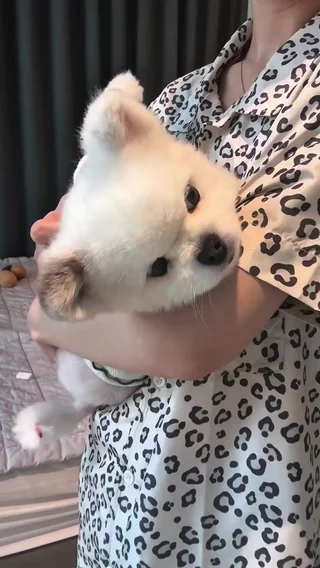 크리에이터 숏폼 영상