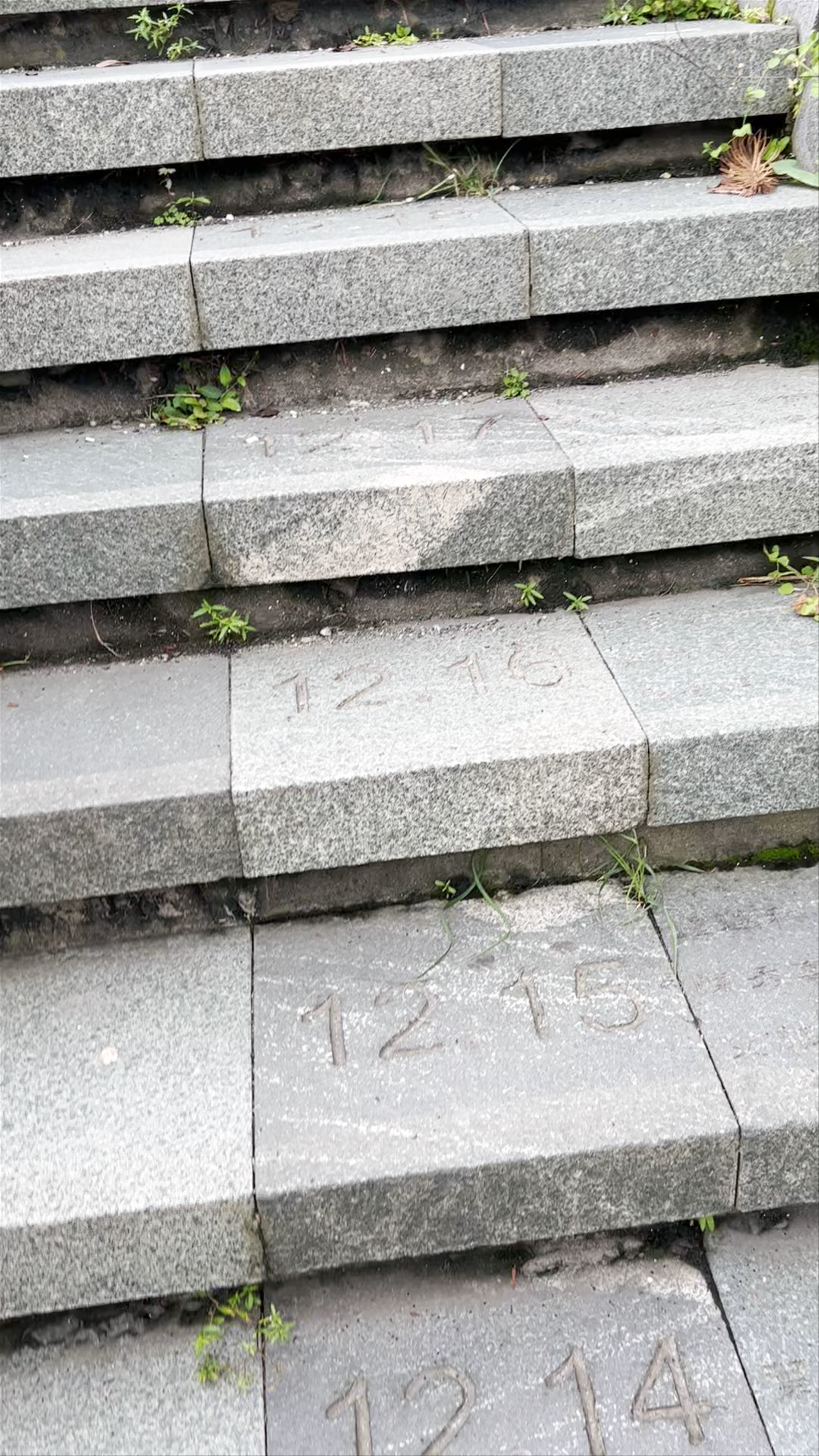 Year of Steps at Wenwu Temple