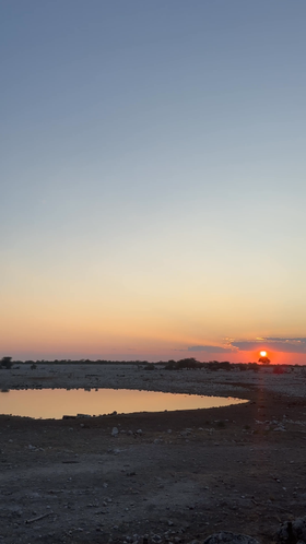 lions-etosha.mp4
