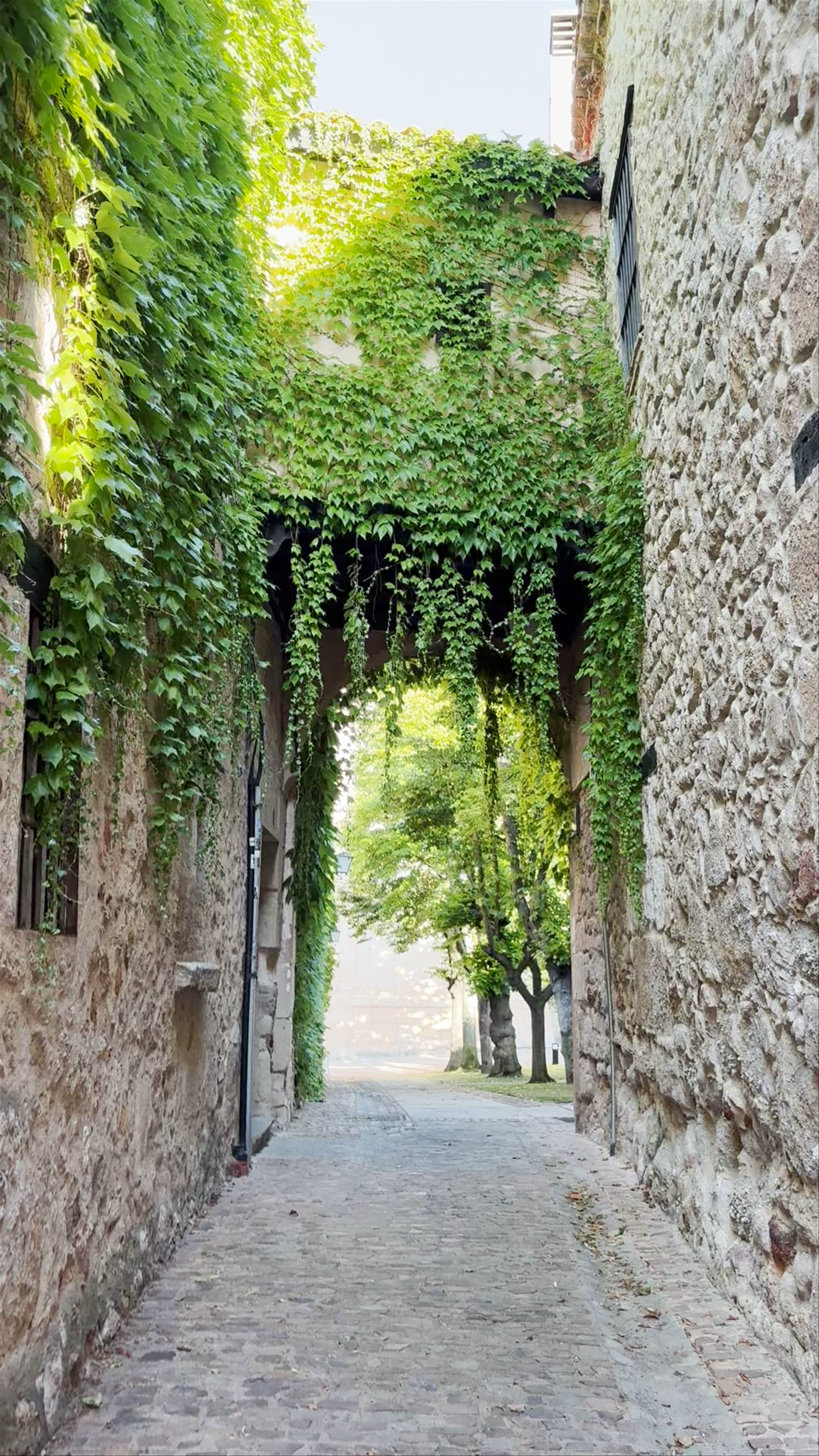 Puerta de El Troncoso