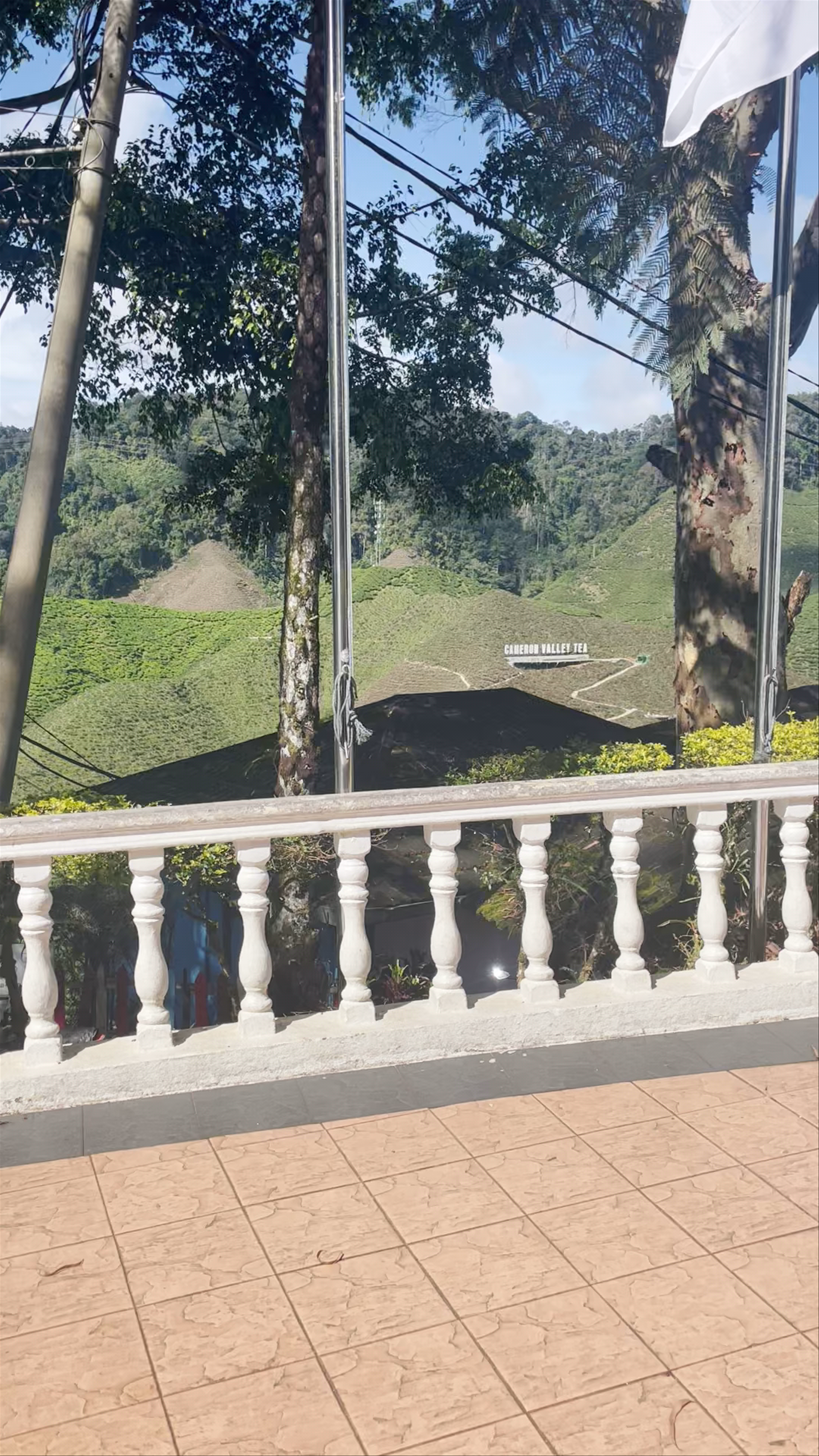 Cameron Valley Tea House: A Serene Escape in Tanah Rata, Pahang