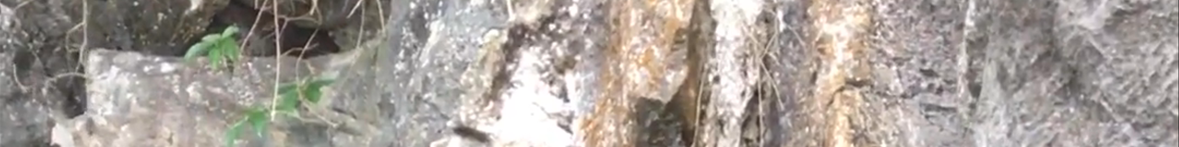 Tours & experiences in Cẩm Phả Mines