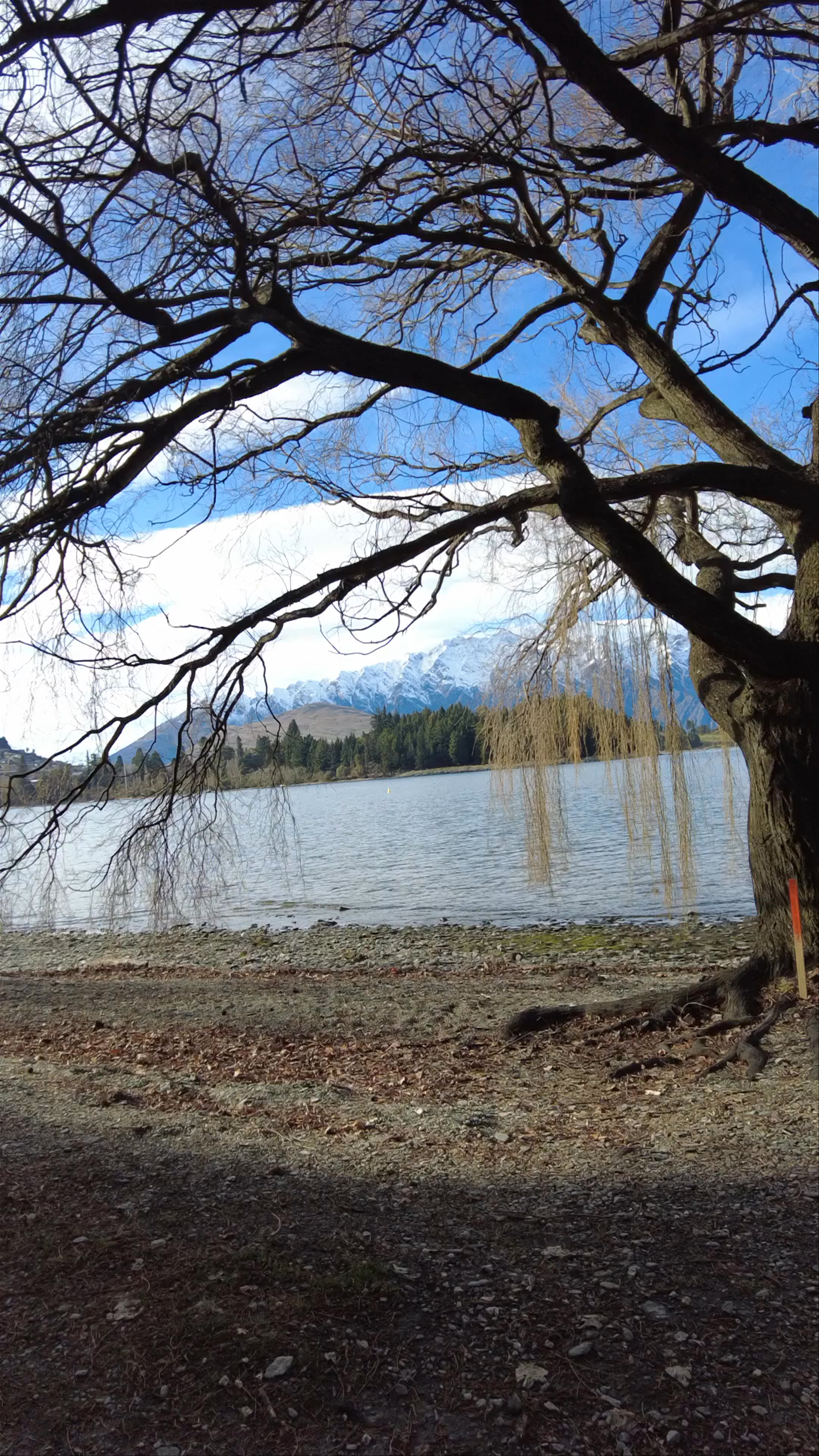 Serene Winter Day at Lake Wakatipu, New Zealand