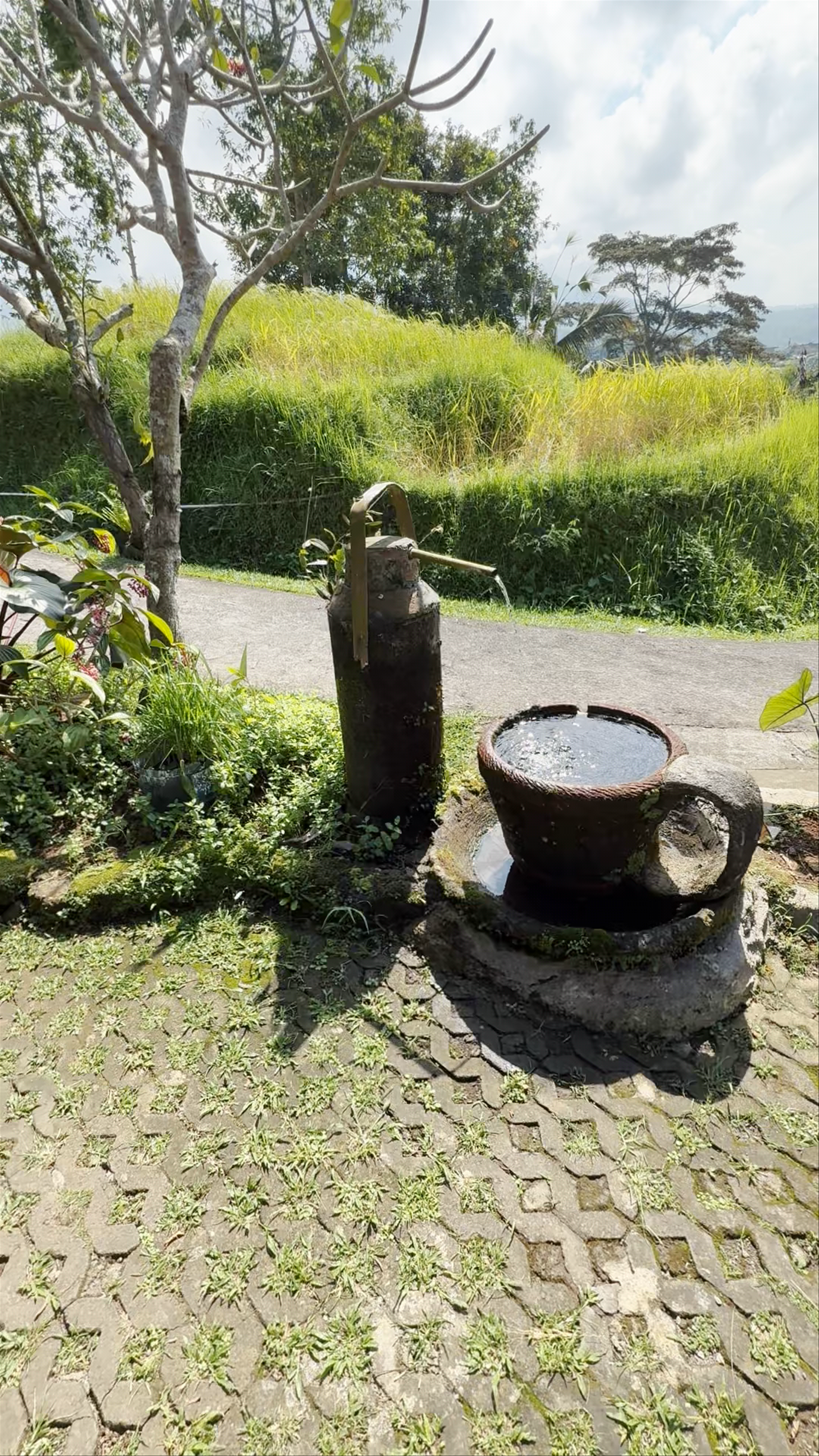 Jatiluwih Rice Terraces