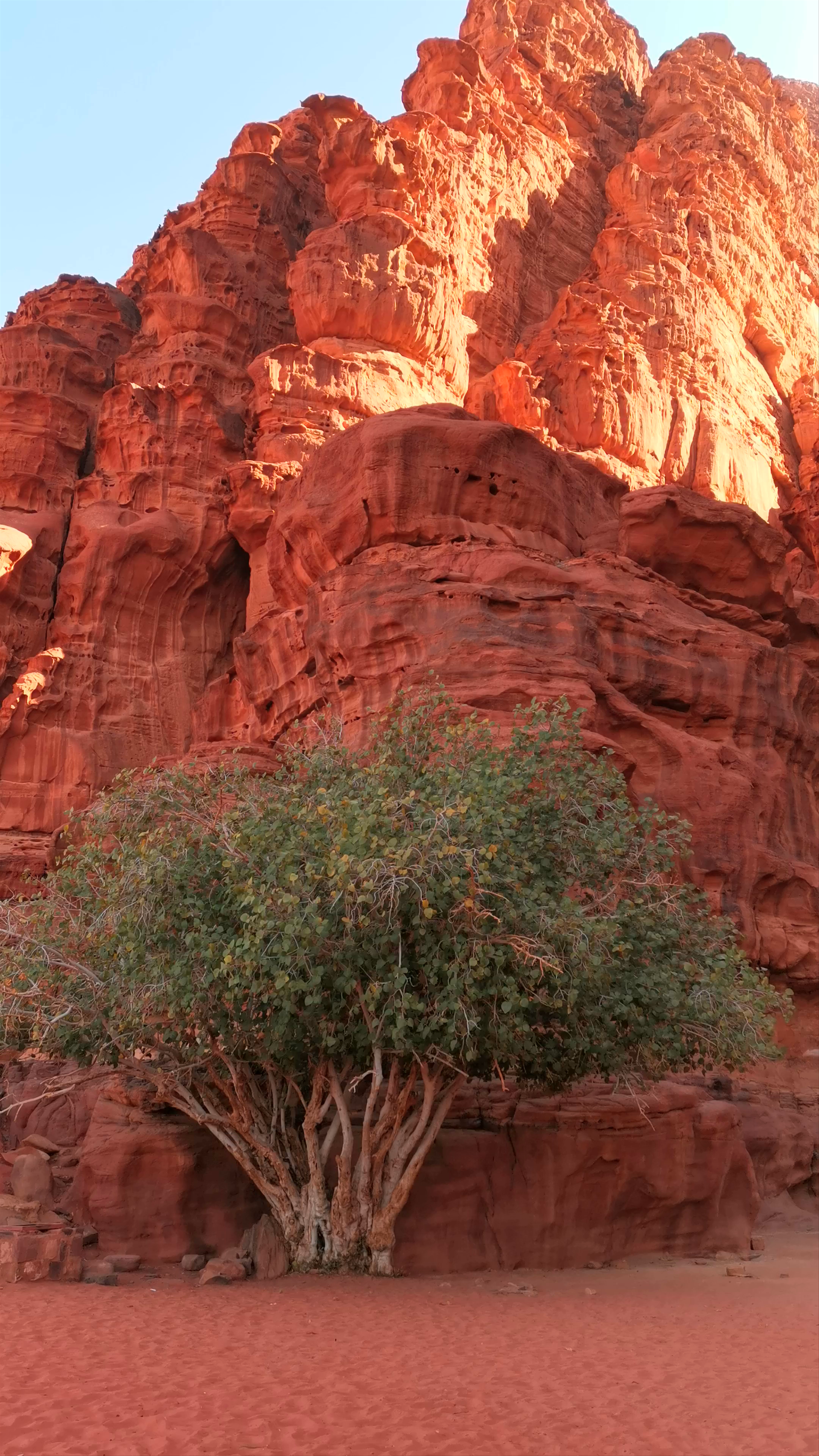 Wadi Rum Desert، Wadi Rum Village