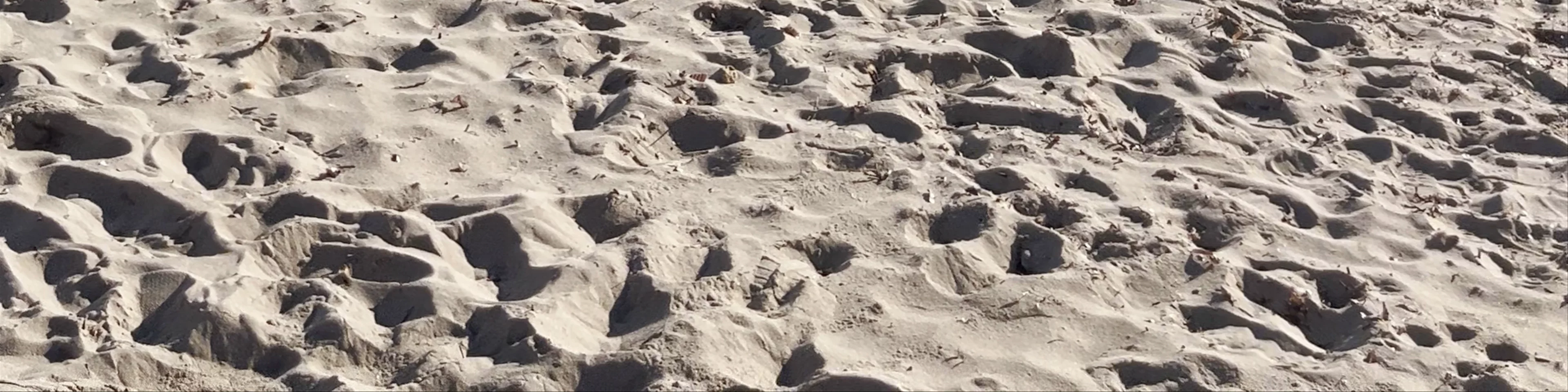 Playa Palmira