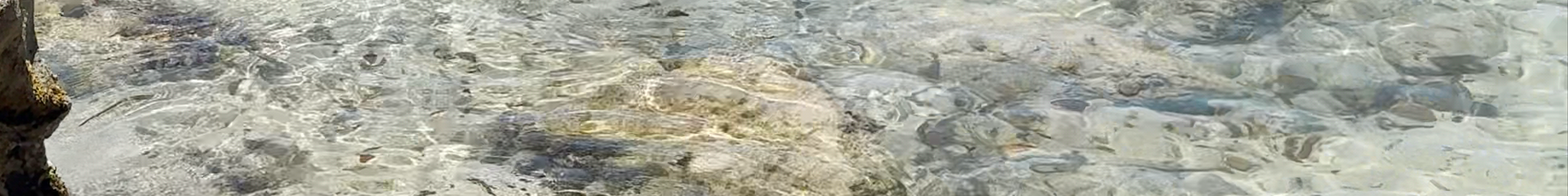 Tours & experiences in Capesterre-Belle-Eau