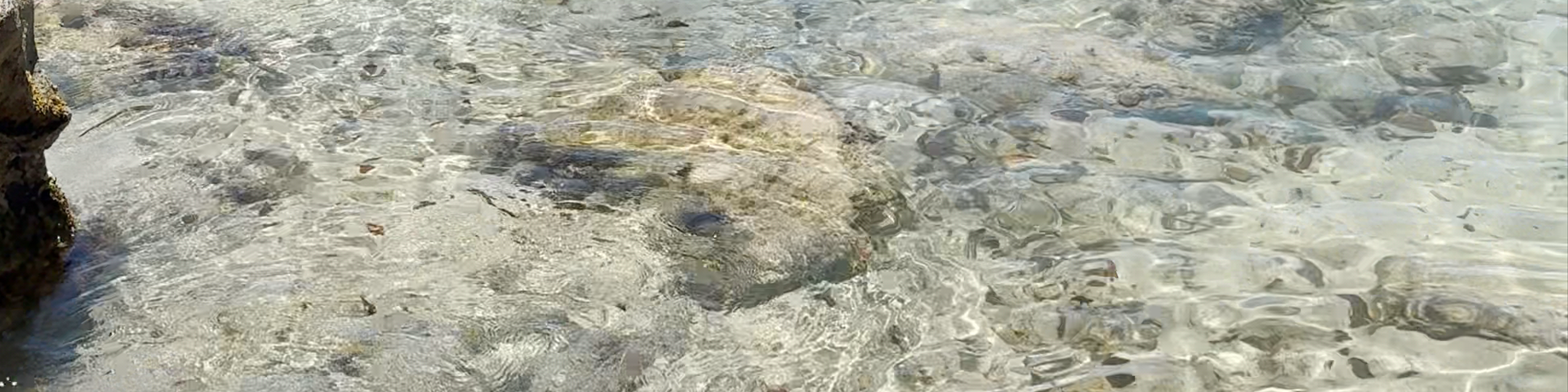 Capesterre-Belle-Eau