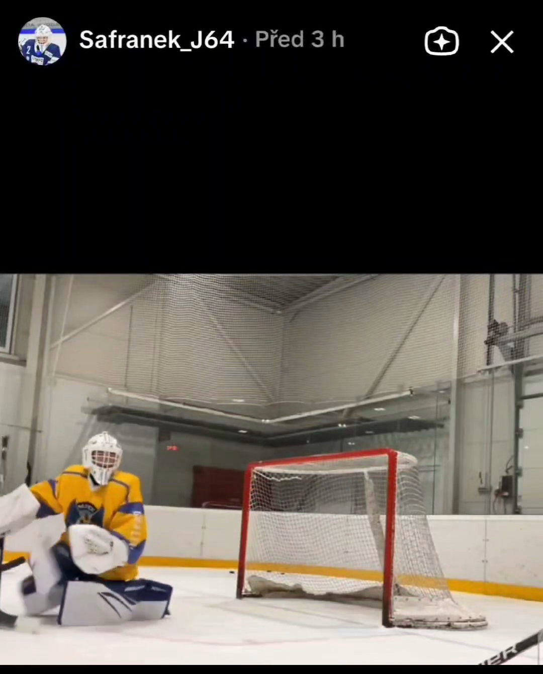 Jiri Safranek: U15 Training Highlights with with the goalkeeping coach Marek David Goaltending.