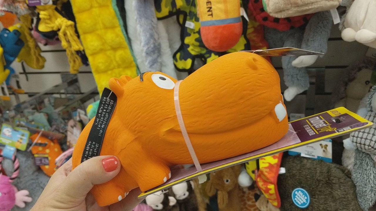 TJ Maxx - TJMaxx hilarious dog toys! - Department Stores Near Me - Wayne, Pennsylvania