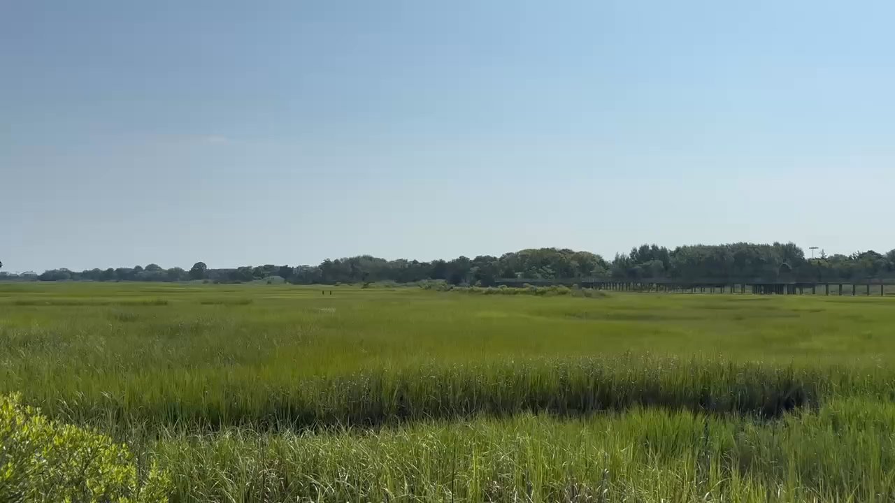 Revolution Rail - Loved the scenery! - Bike tours Near Me - Cape May, New Jersey