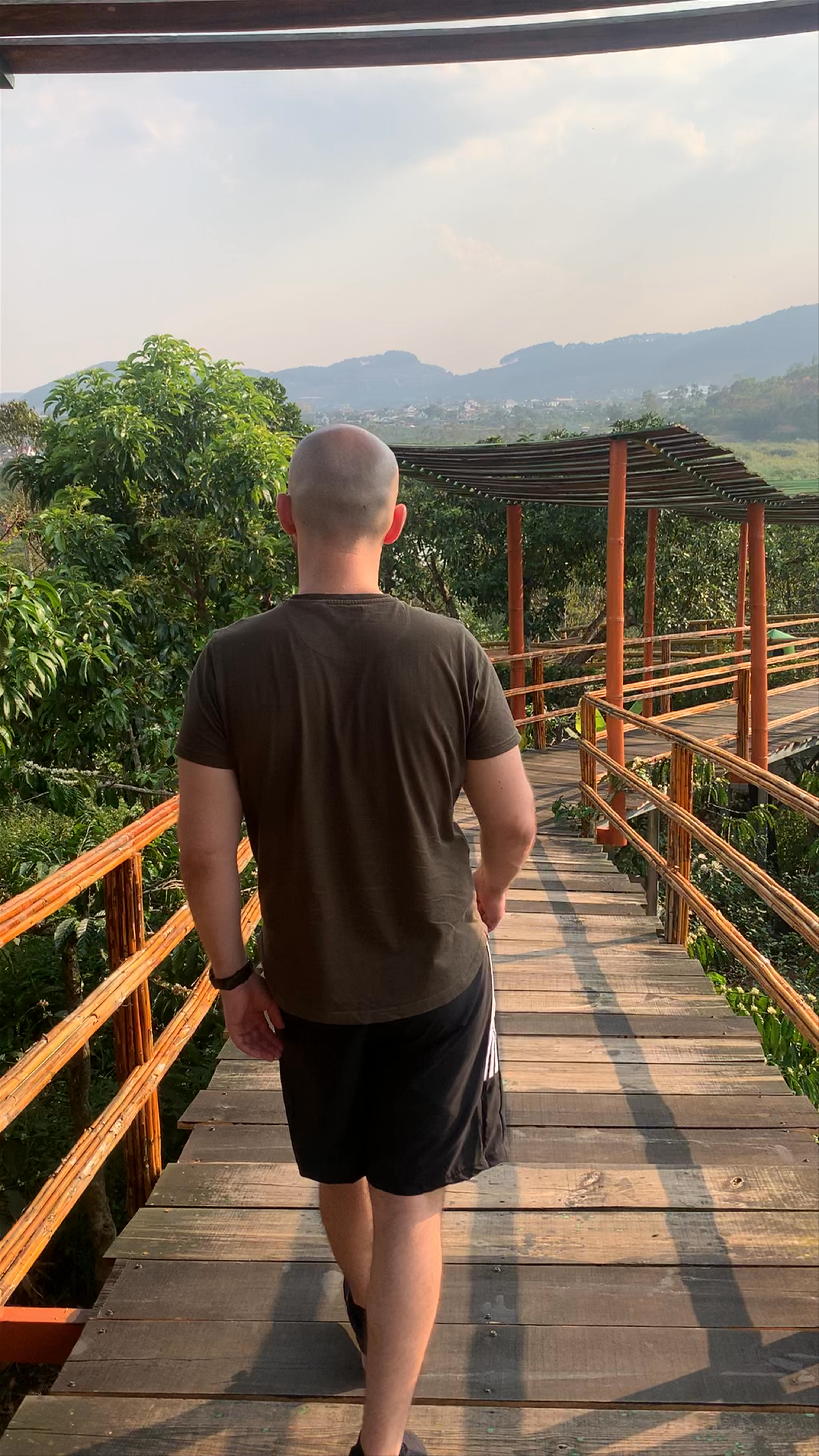 Midori Coffee Farm