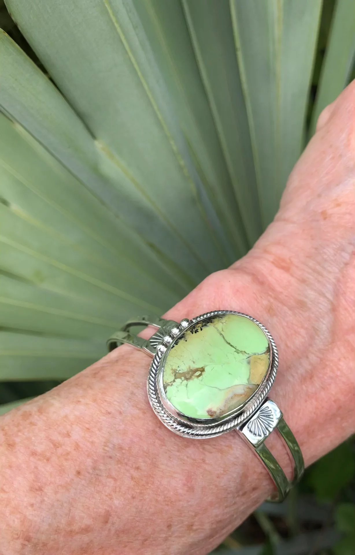 Preview image for video