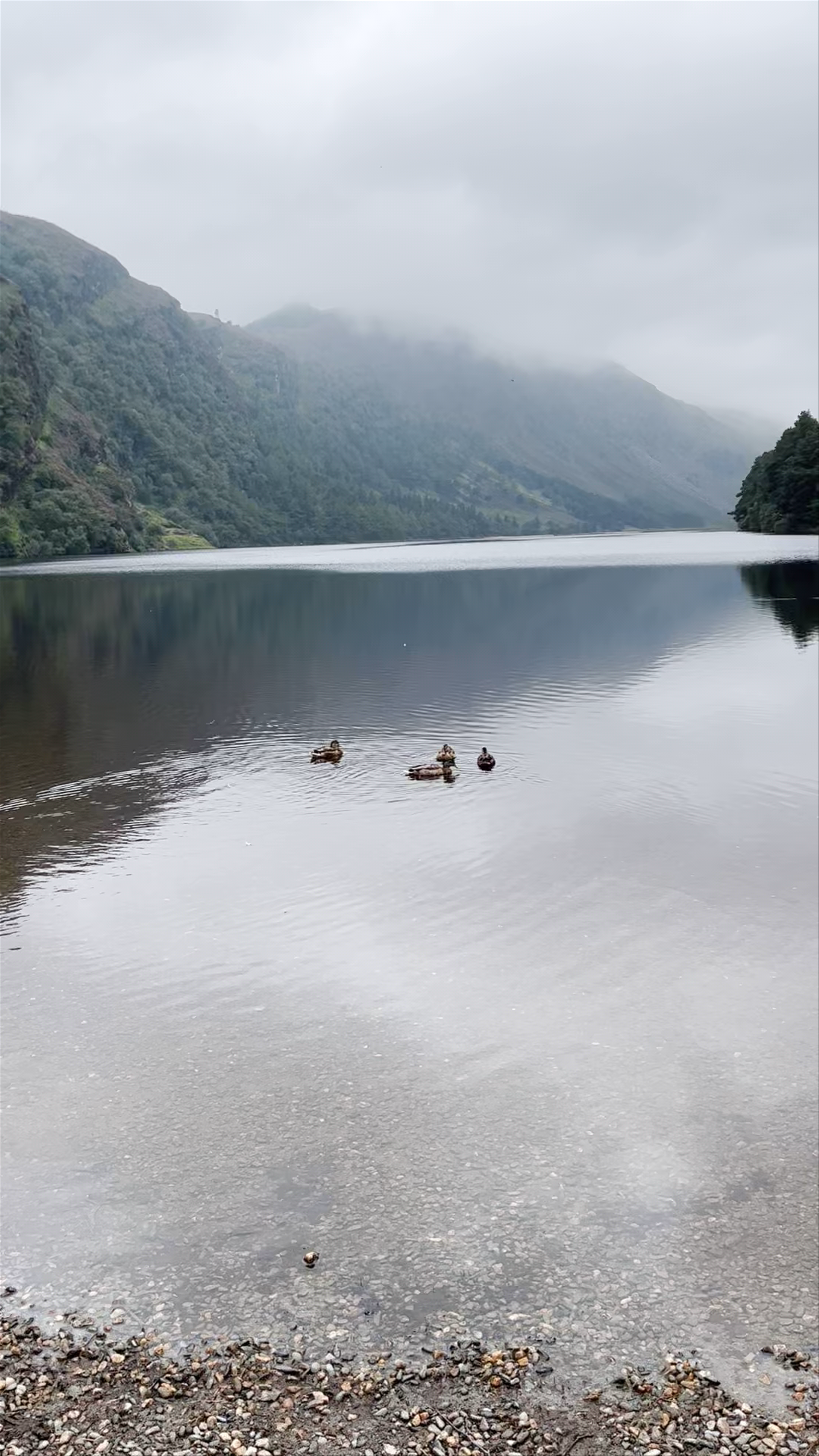 Glendalough Visitor Centre