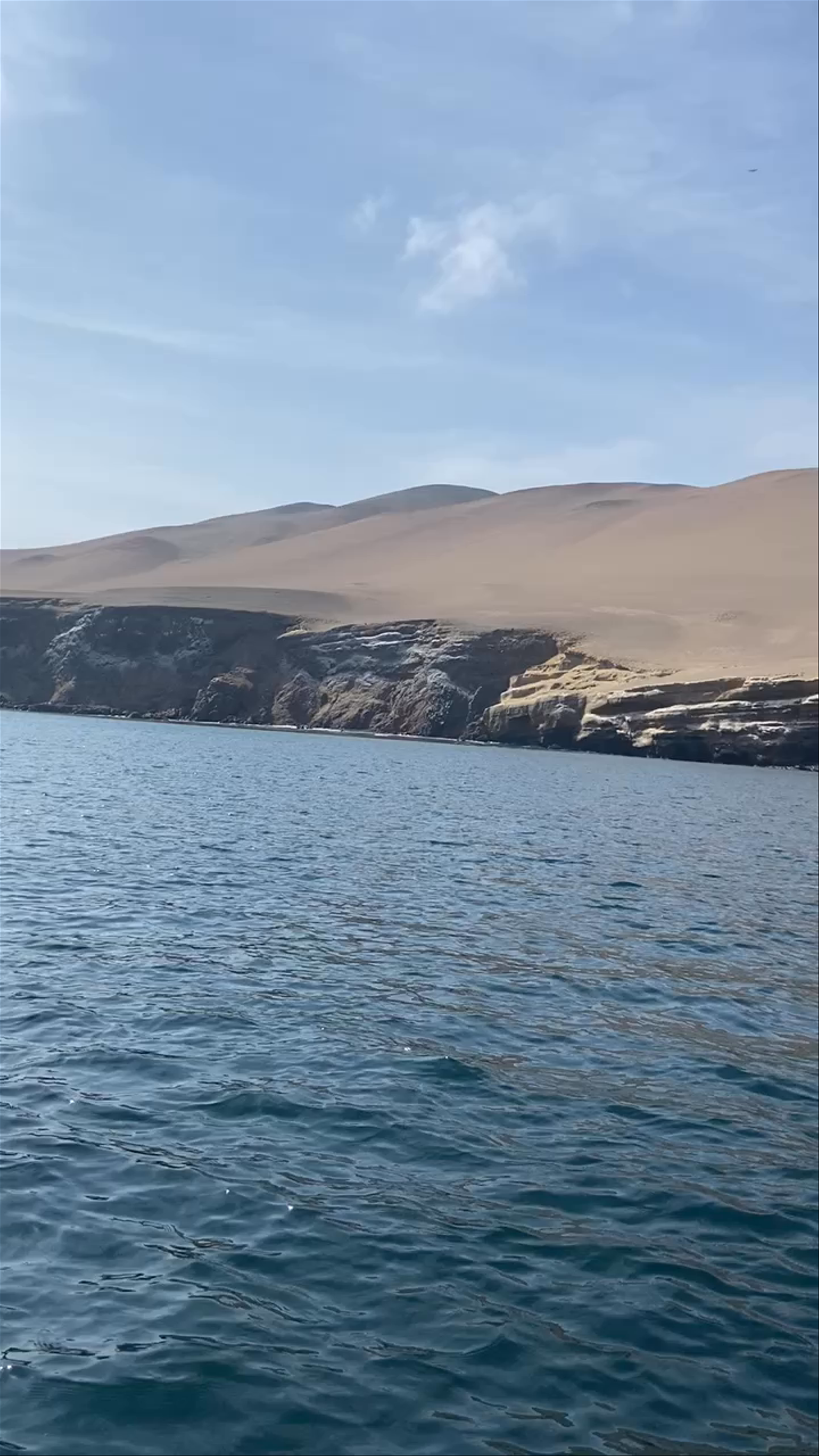 Ballestas Islands