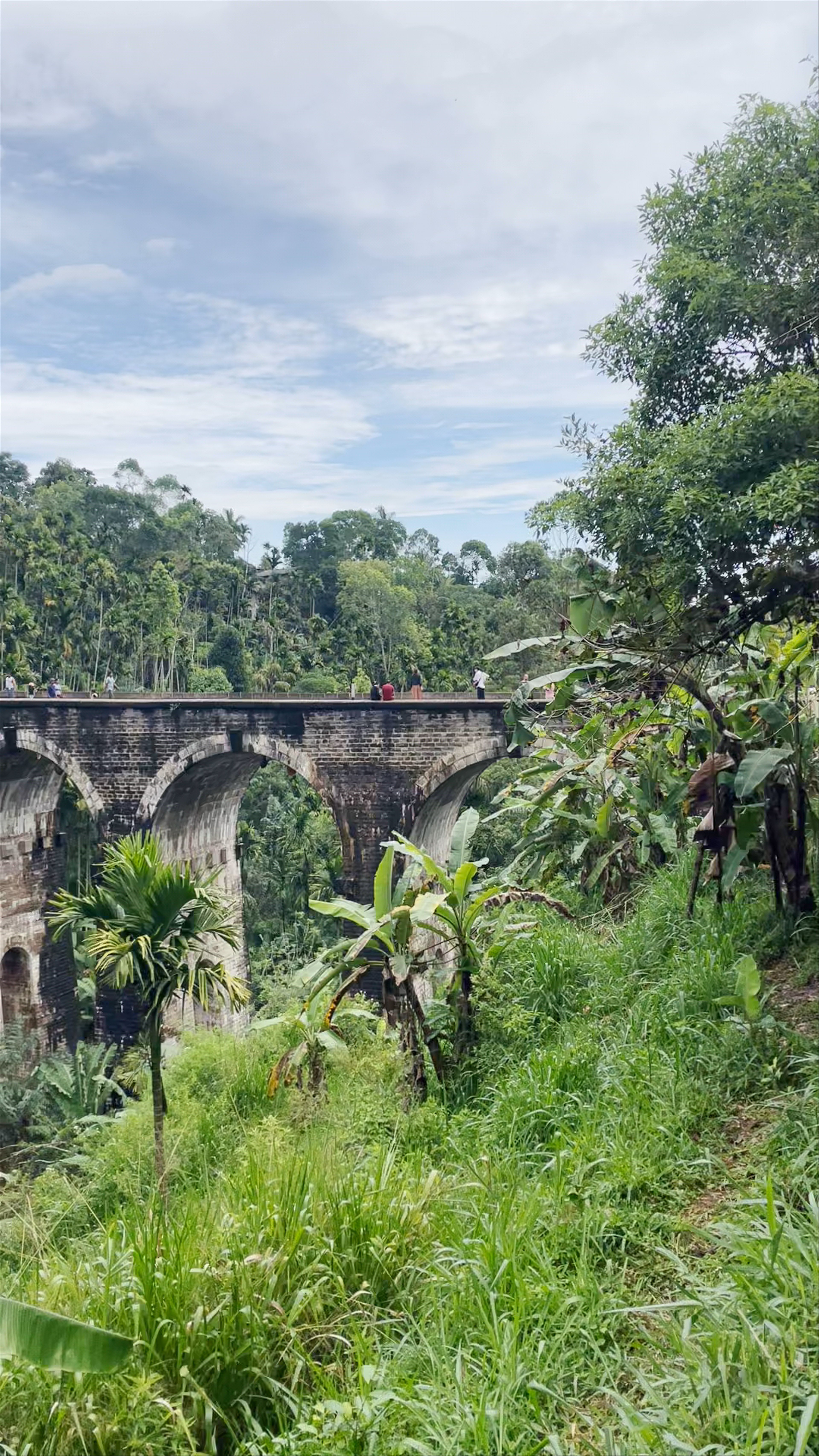 Nine Arches Bridge: Majestic Jungle Icon of Sri Lanka