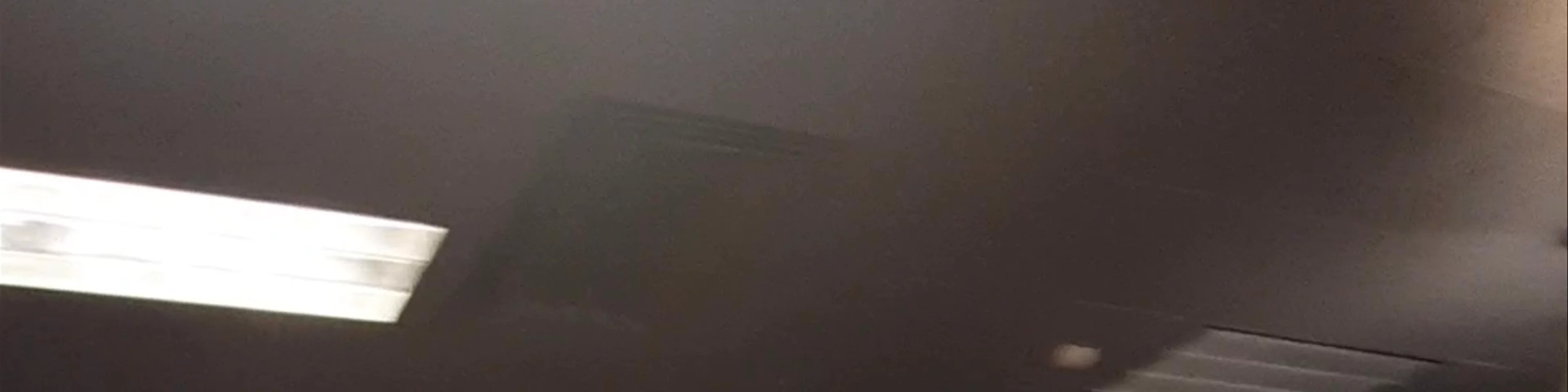The Smoking Mule