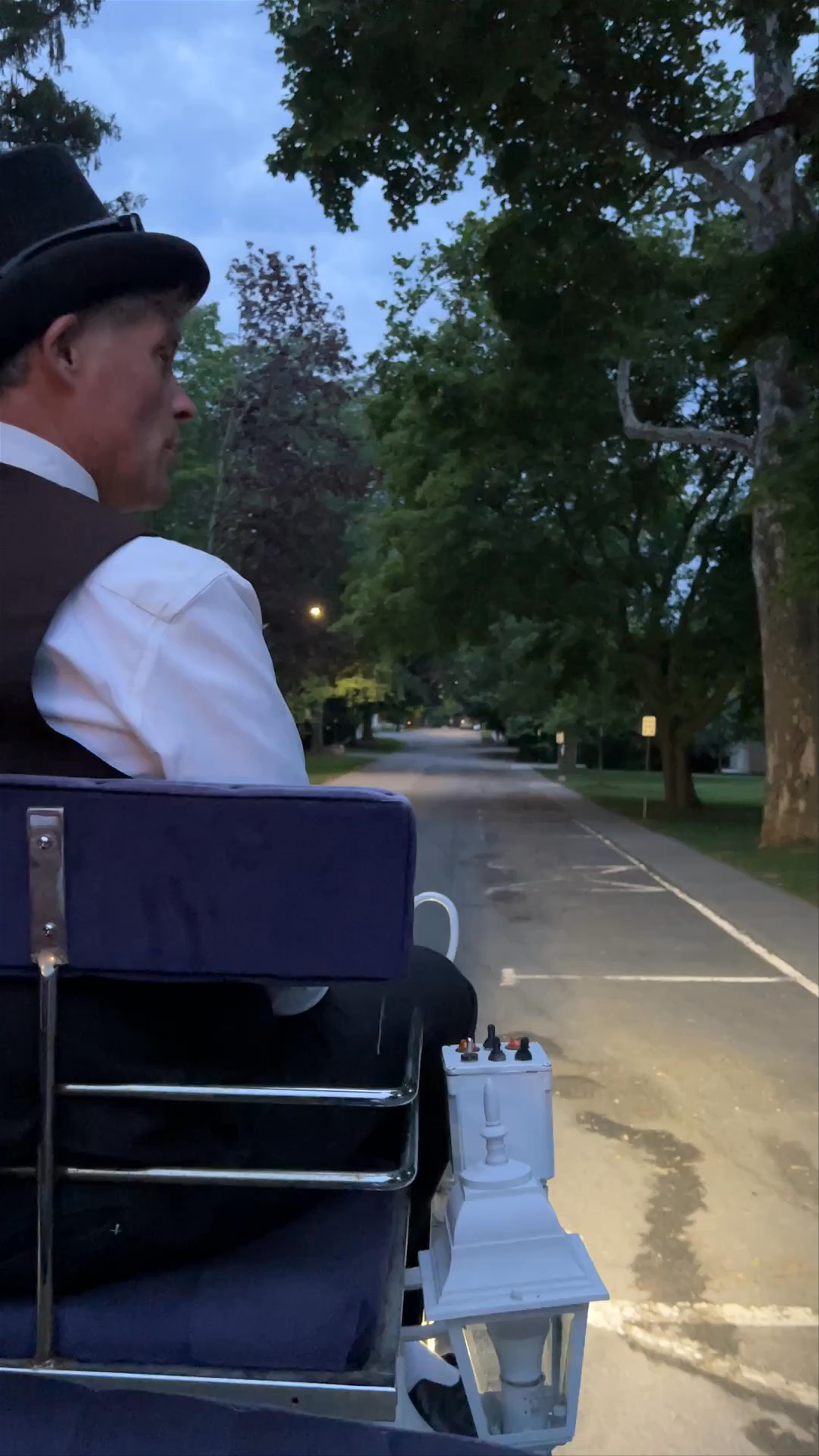 Sentineal Horse & Carriage